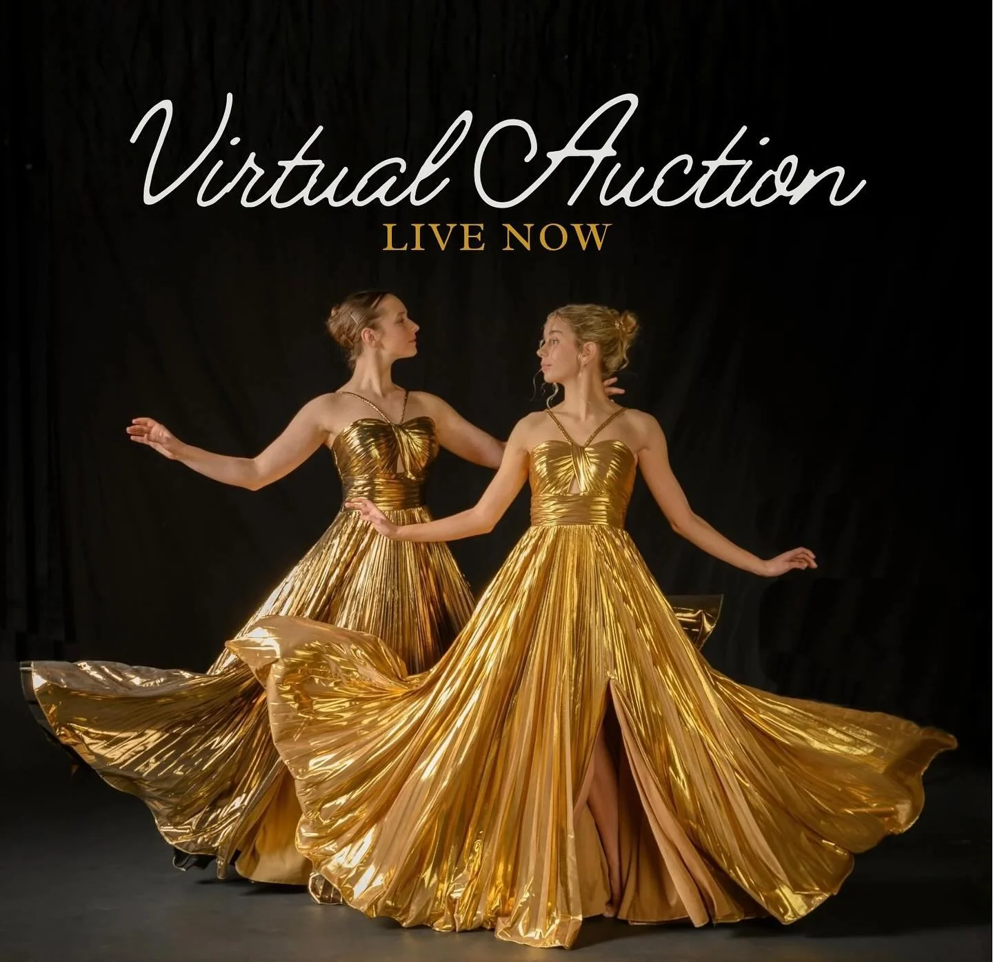Our Virtual Auction sponsored by @prairiefamilymed is ✨LIVE✨

Open to anyone, our Virtual Auction features a variety of items, experiences &amp; bundles. Don&rsquo;t miss the chance to snag a special item &amp; help support local dance. Let the biddi