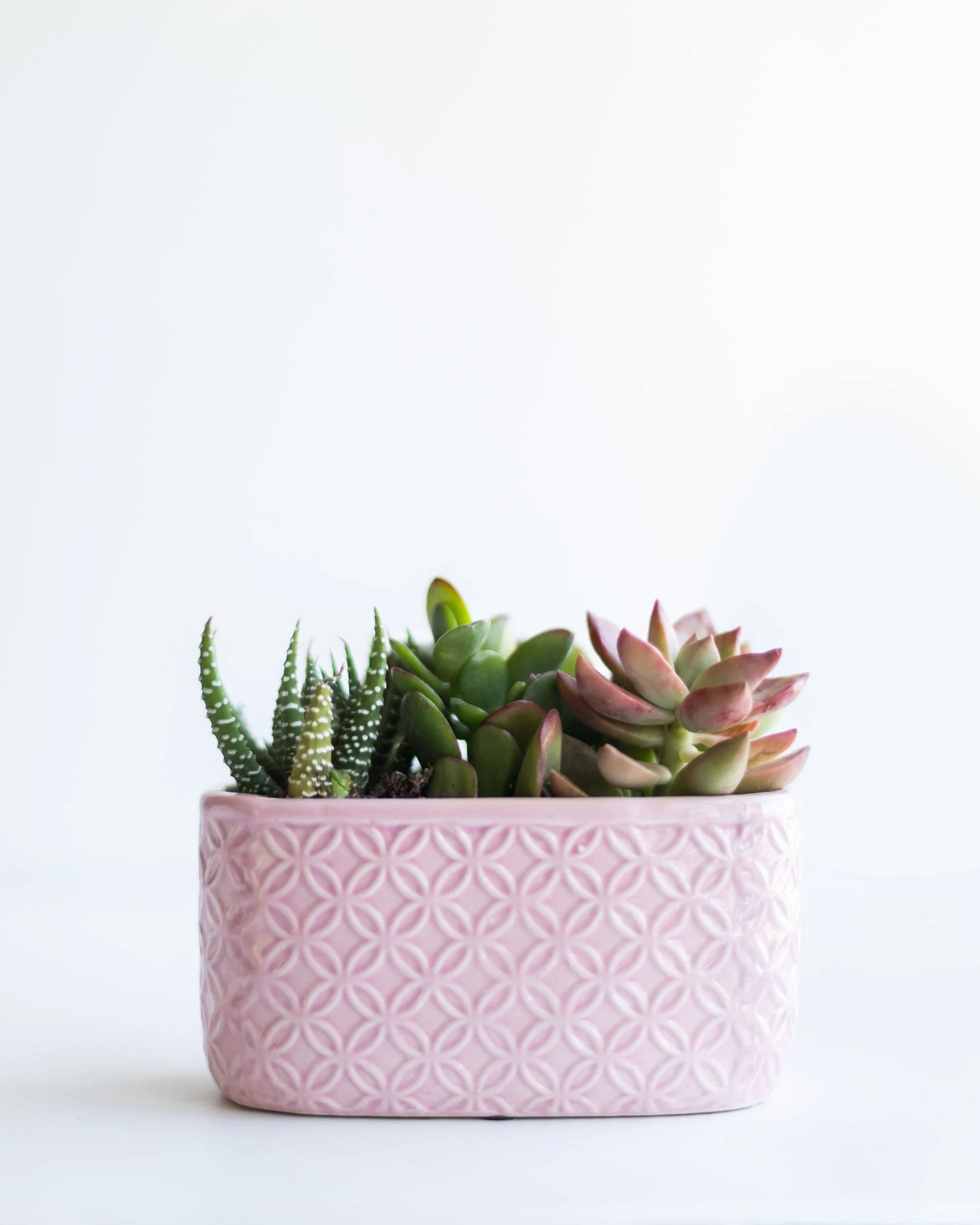 unsplash-image-9dlJd7aMcOE.jpg