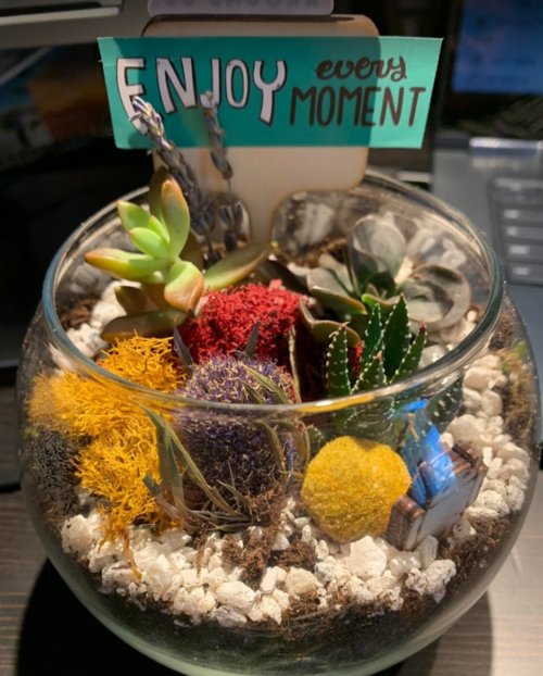 Terrarium+Mel+E.+review.png