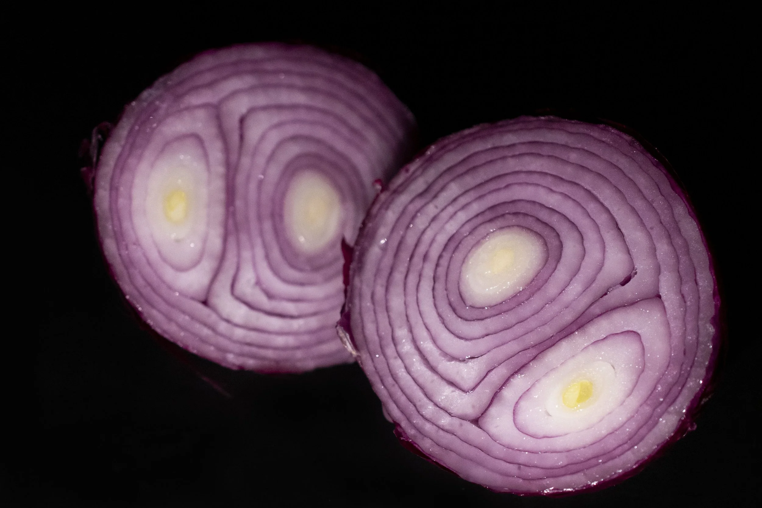 PURPLE ONION 1.jpg