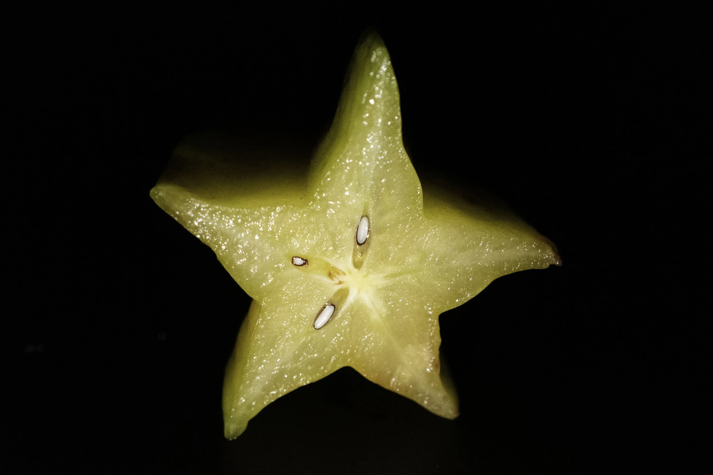 STAR FRUIT 1.jpg