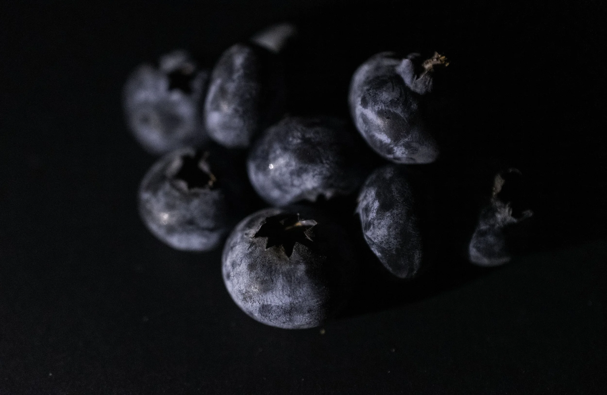 BLUEBERRIES 1.jpg