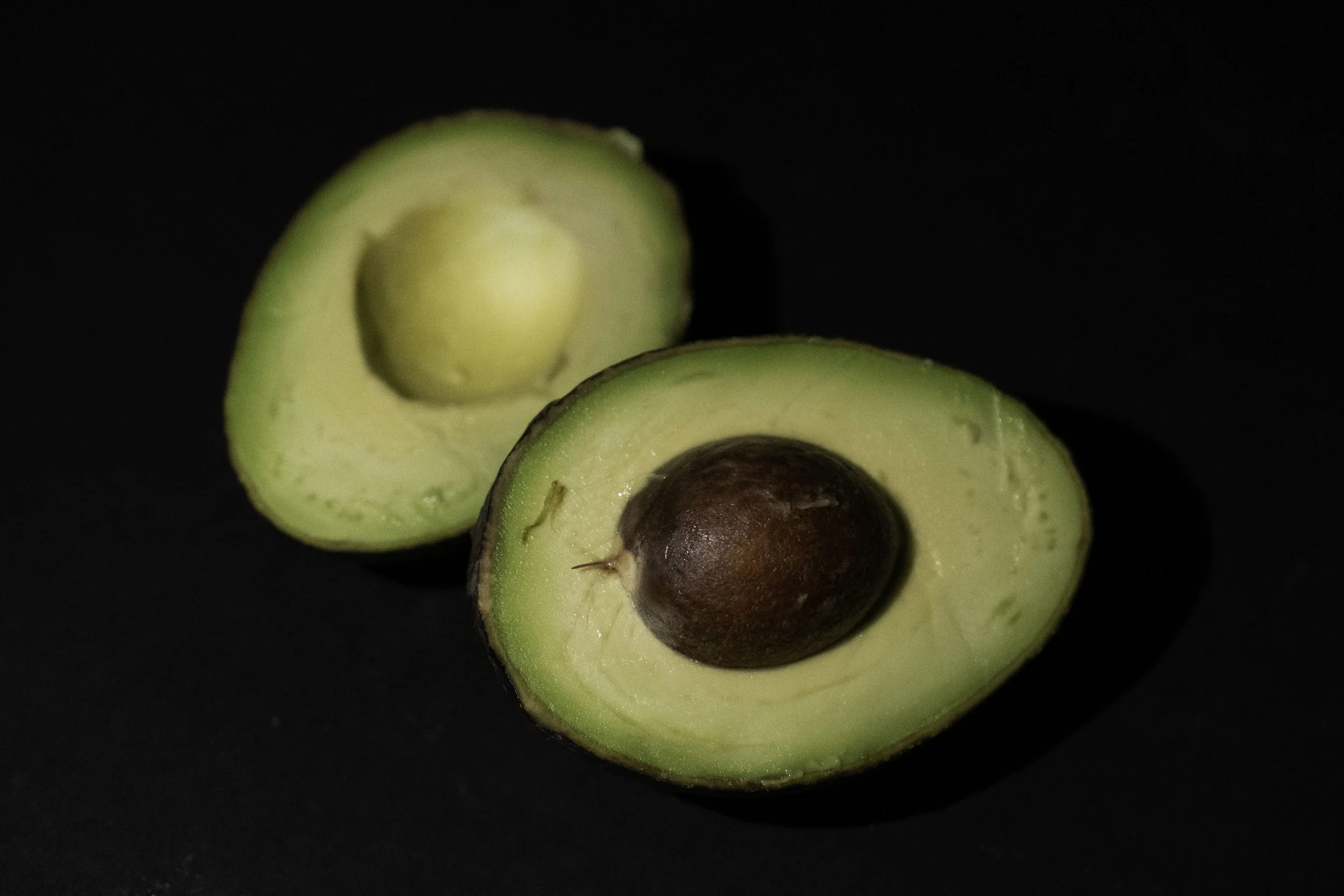 AVOCADO 1.jpg