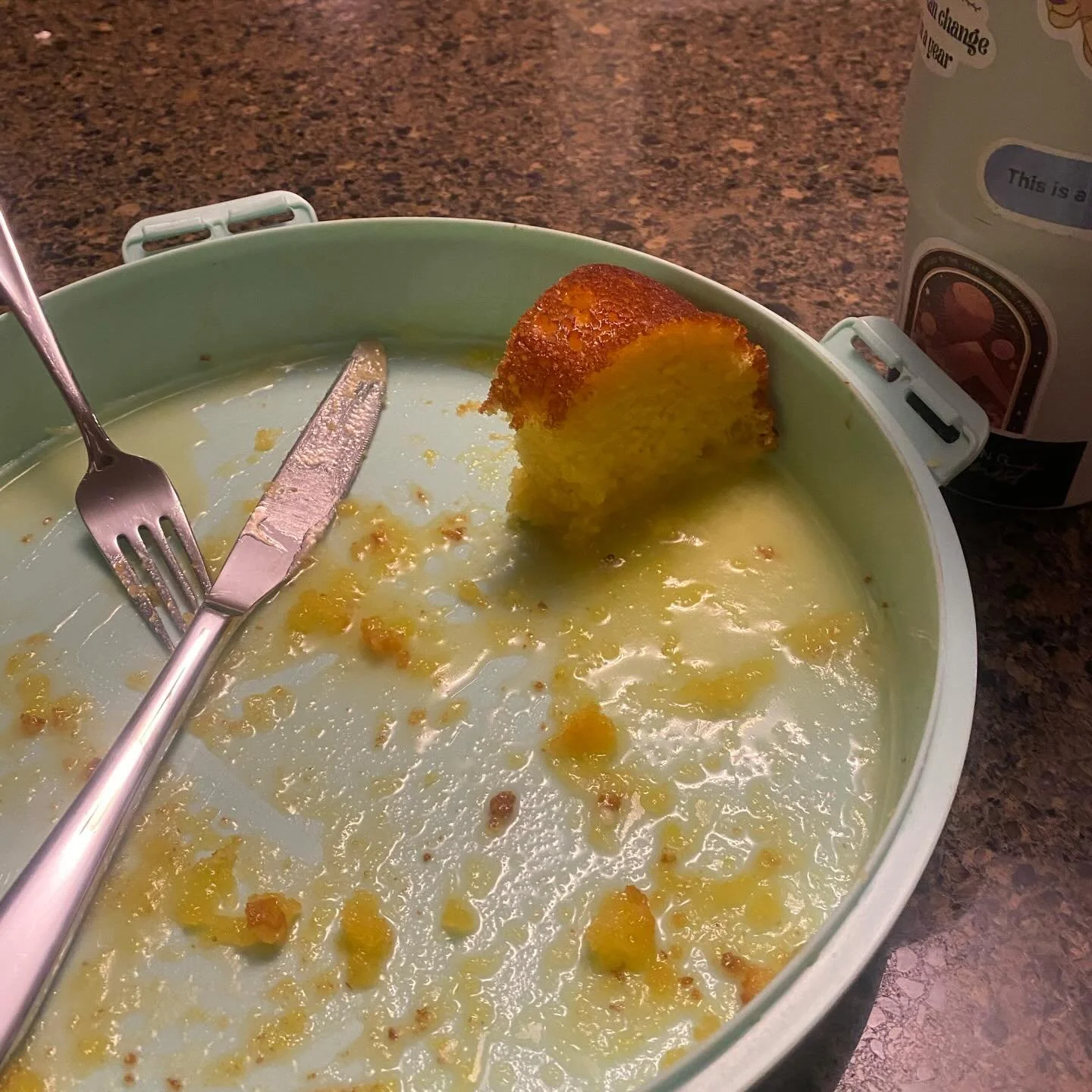 I get that this picture just looks like a sad piece of cake but this is me memorializing this feeling because one day I&rsquo;ll want to remember it- 

My living room is still chaos from this morning after spending the day with family after Santa cam