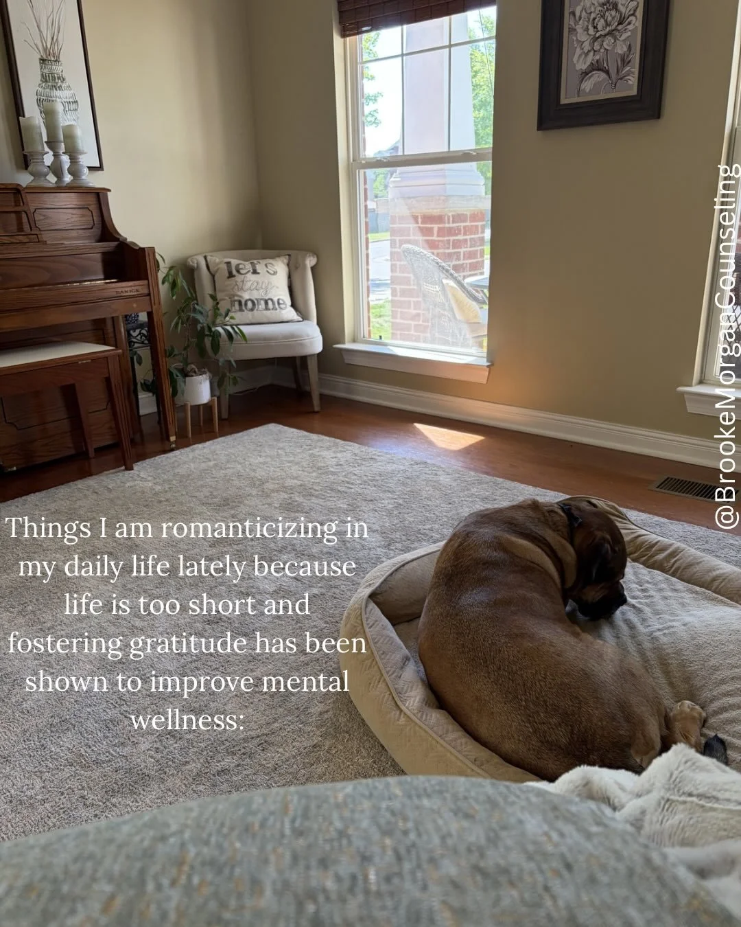 Lately I&rsquo;ve enjoyed walking around my house and noticing the little things that otherwise might seem messy or unimportant and reframing how these things are actually where the life is in my home. It&rsquo;s drastically helped with my outlook on