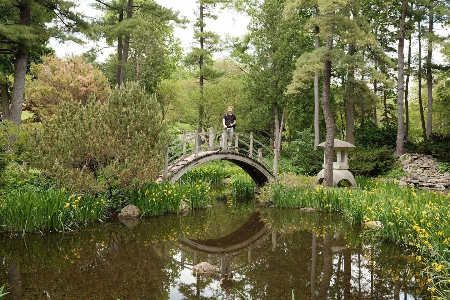 🪷 Did you know @cosmeetupchicago is going to have exclusive photography access to the Fabyan Japanese Garden during our enchanted picnic meetup on June 7th?! 

🎍For a portion of the day, the garden will be closed off to the public, open only to Cos