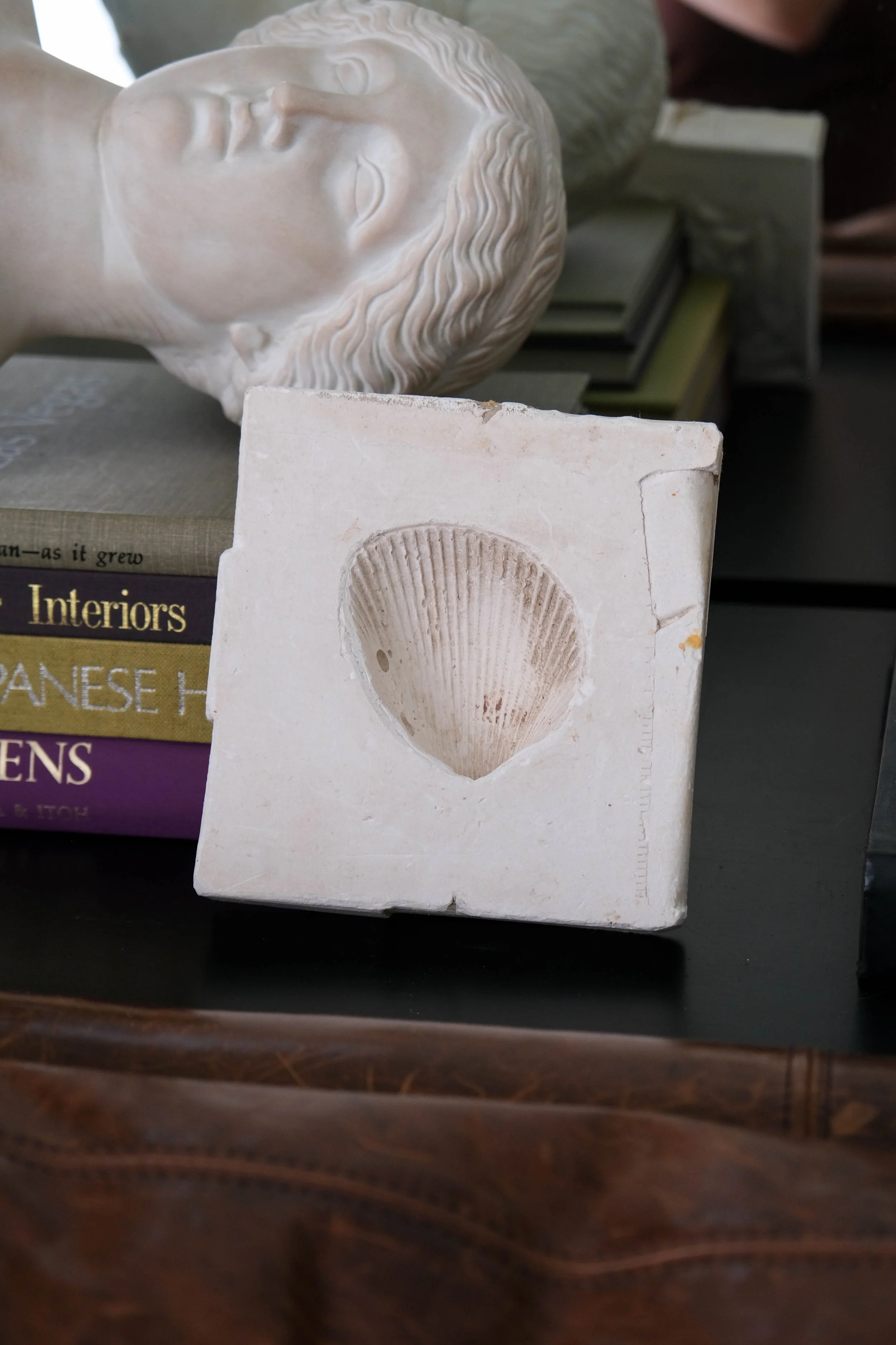 Scallop Shell Cast Table Art
