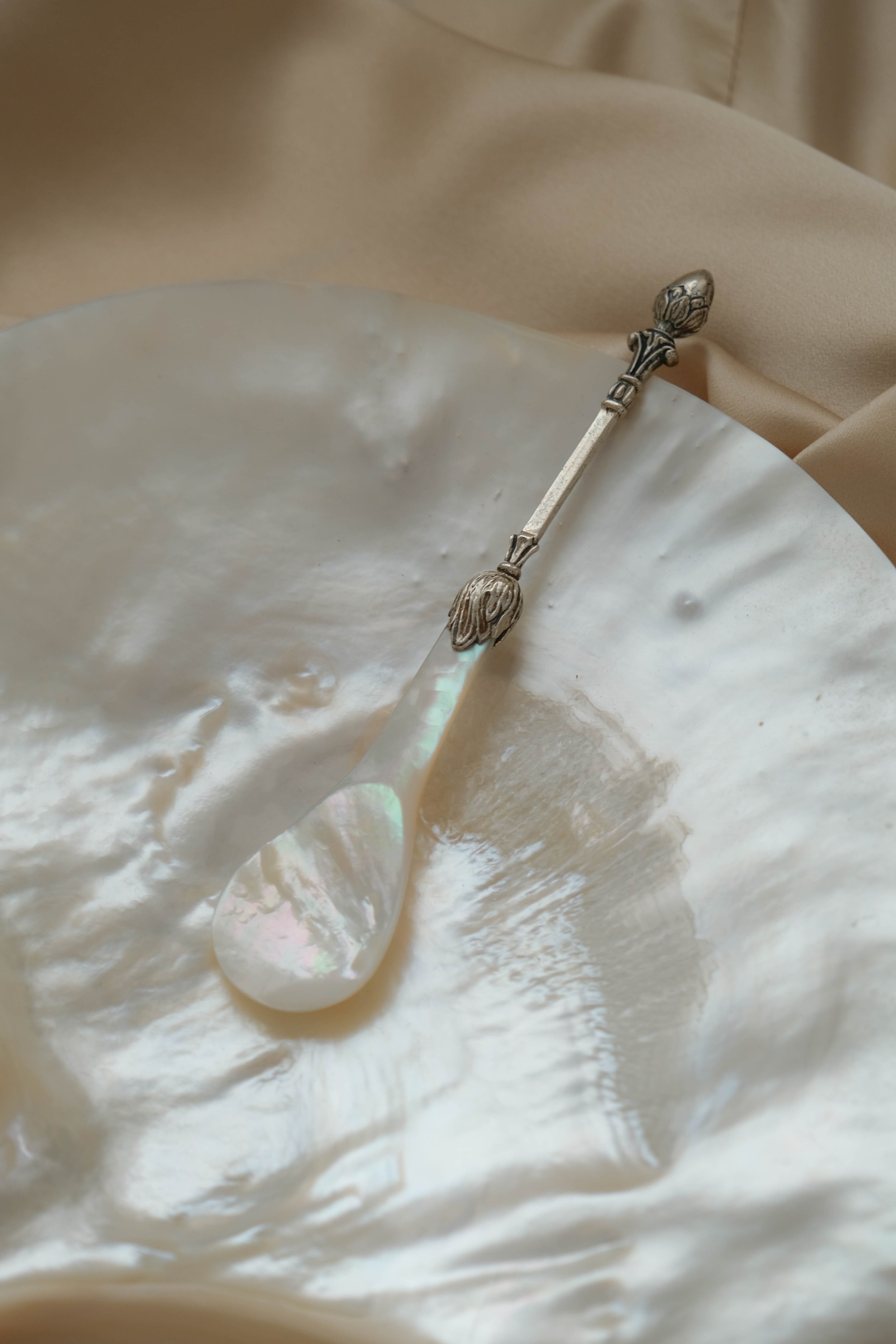 Christoph Widmann Sterling Silver & Mother Of Peal Caviar Spoon