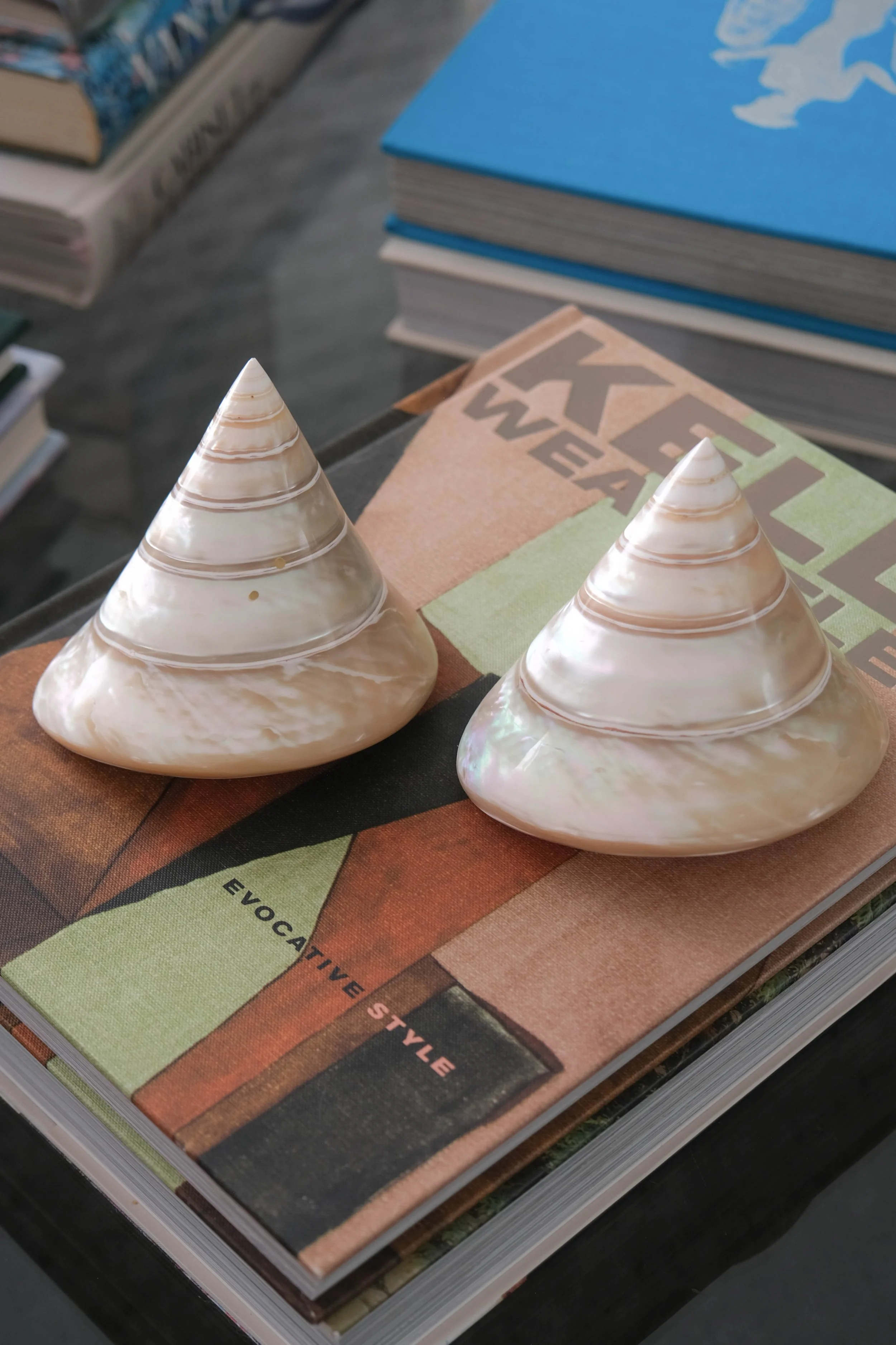 Mother Of Pearl Trochus Shell Set