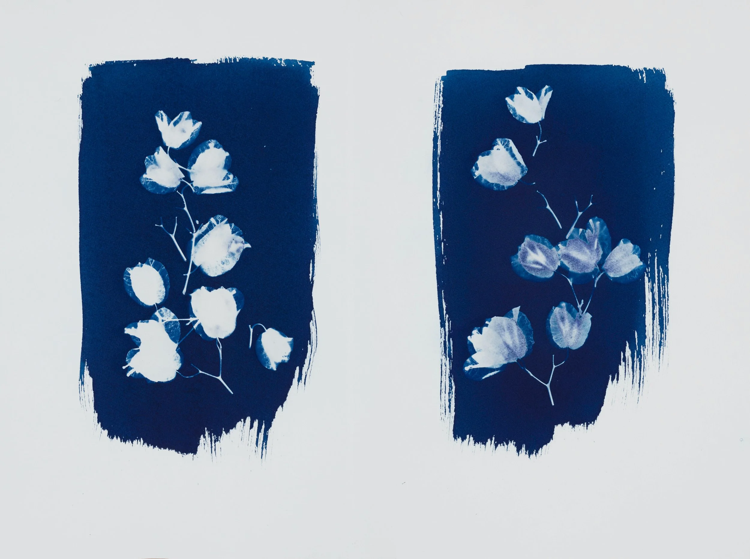 MAXIM-VARGHESE_FLORAL_ACCENT_PART 1.jpg