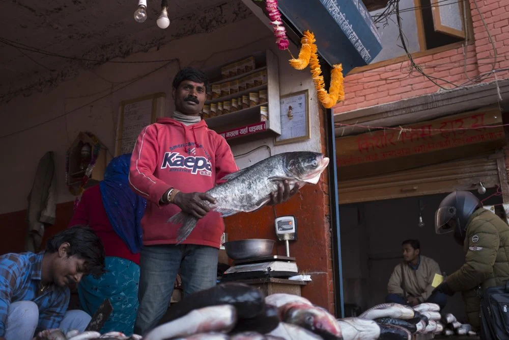 Maxim_Bharat Shah_Owner of fish shop.jpg