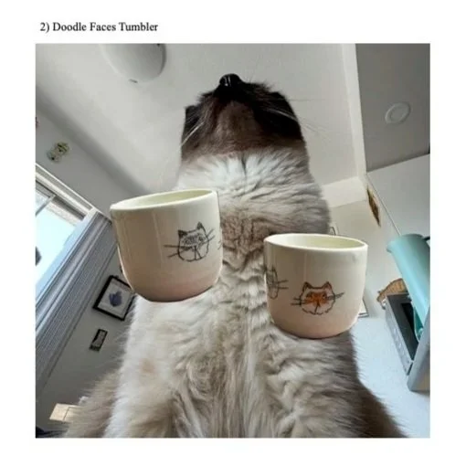 georgekittyface2.jpg