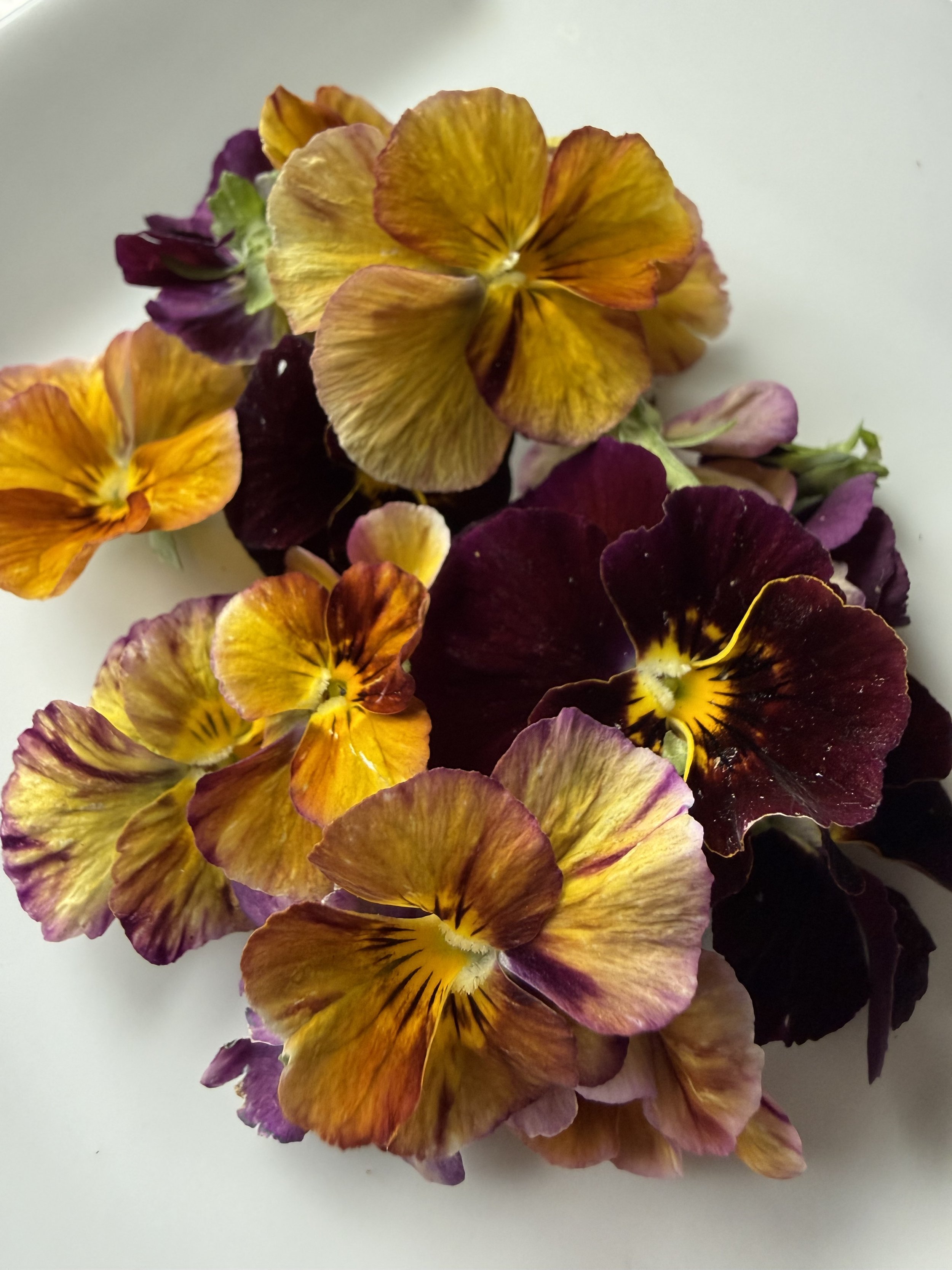 Edible Flower Subscription
