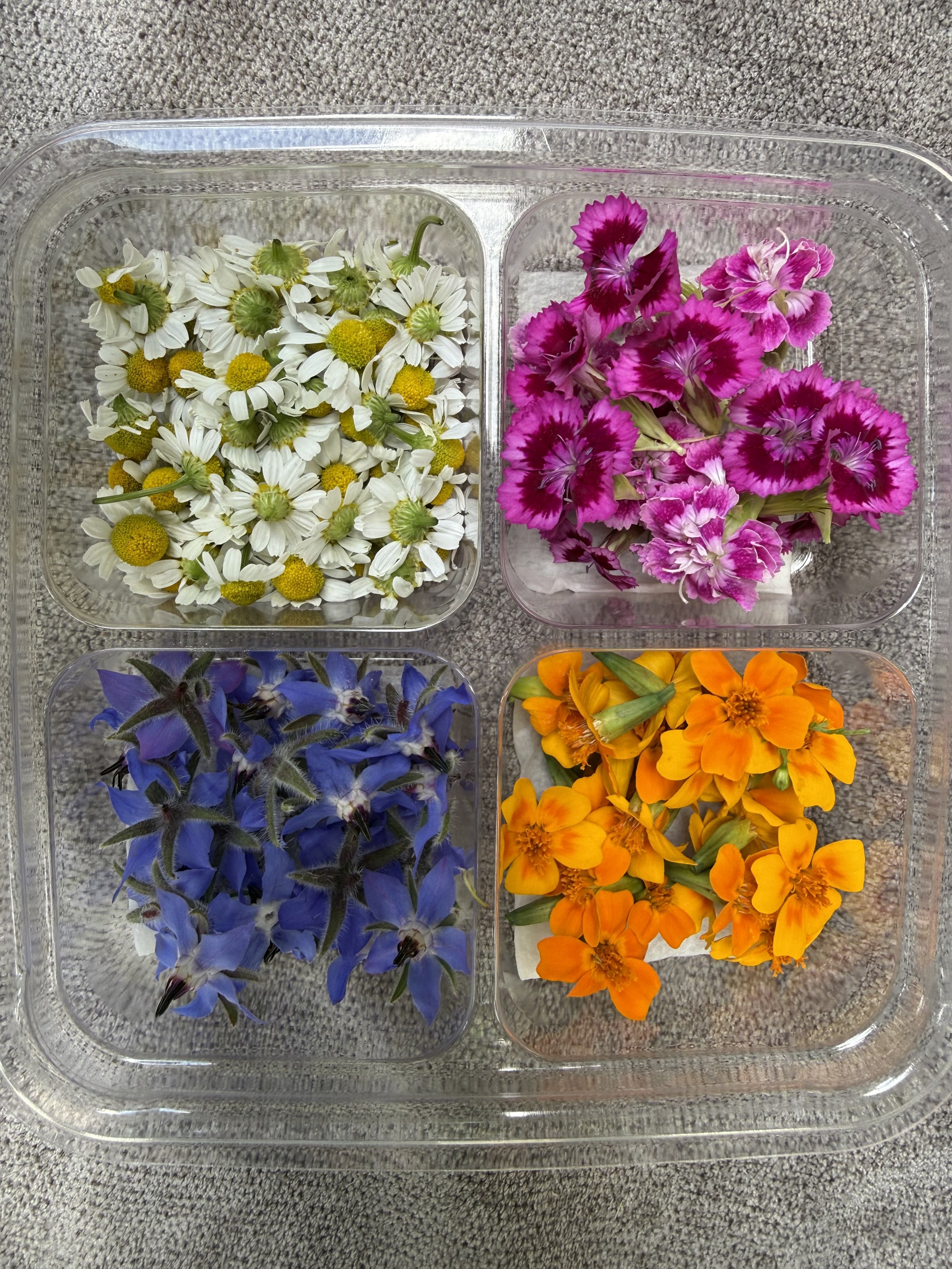 Mini  mix-Four  Variety Box