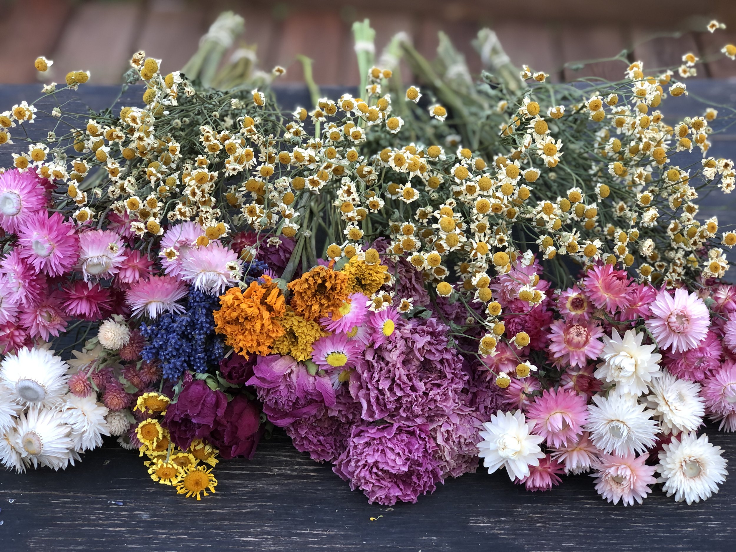 The preserved garden