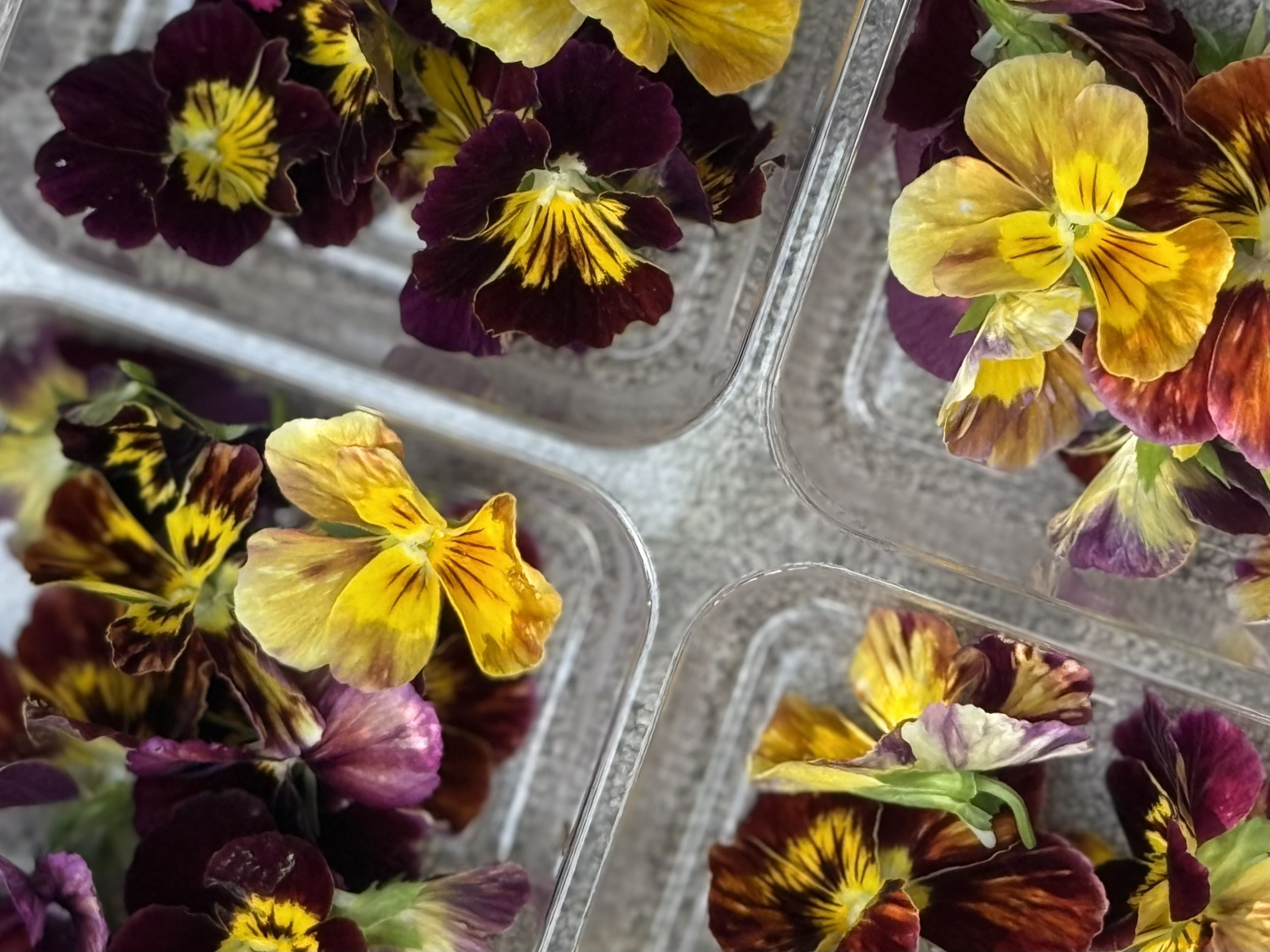 Mini mix -Duo Selection Boxs  approximately 120 blooms