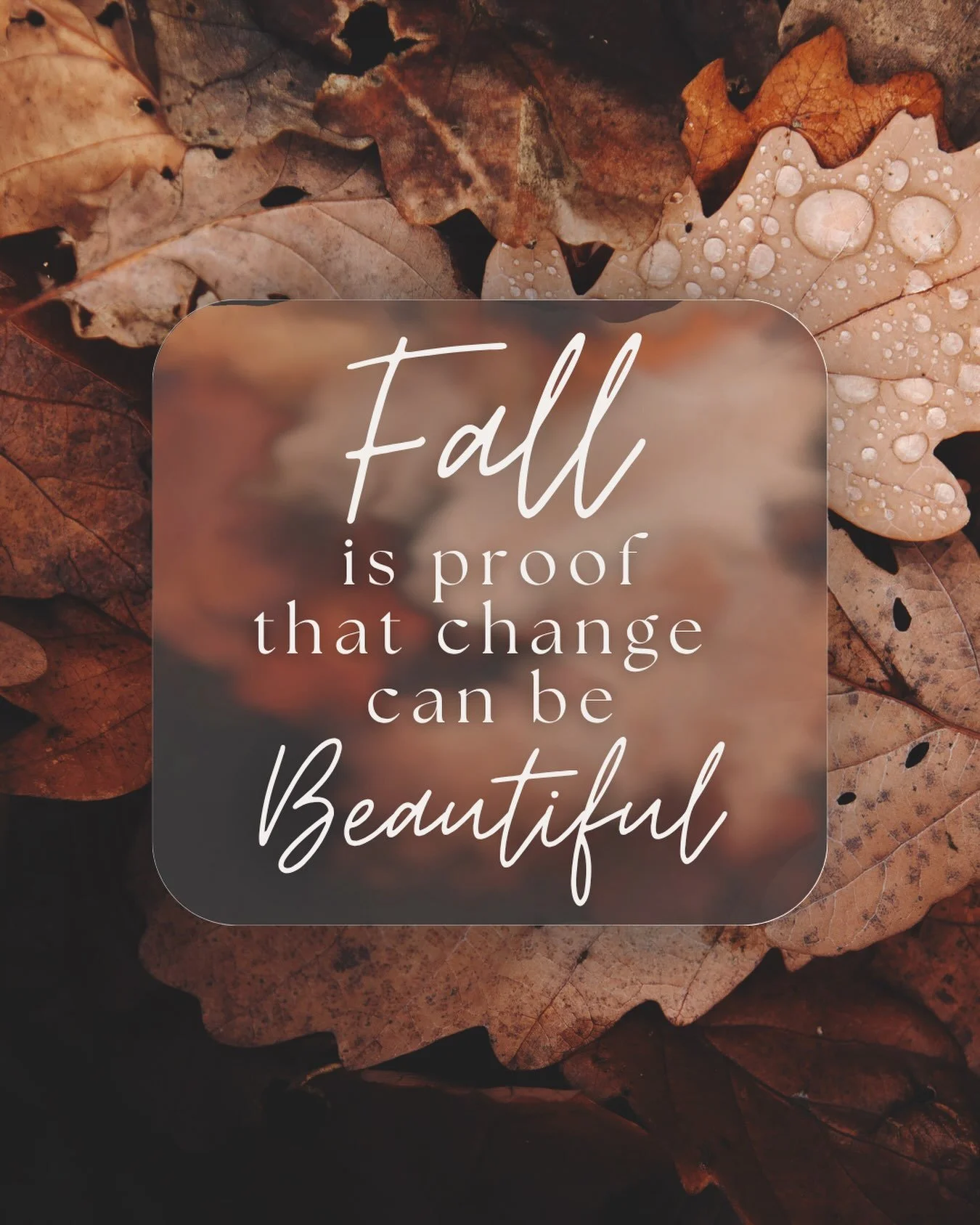 🍂 Happy First Day of Fall! 🍂

My yearly post about my favorite time of the year! I love cooler weather, football season (hook &lsquo;em), pumpkins, fall drinks, changing leaves &amp; the beginning of a new season. 

Change can feel uncomfortable. I