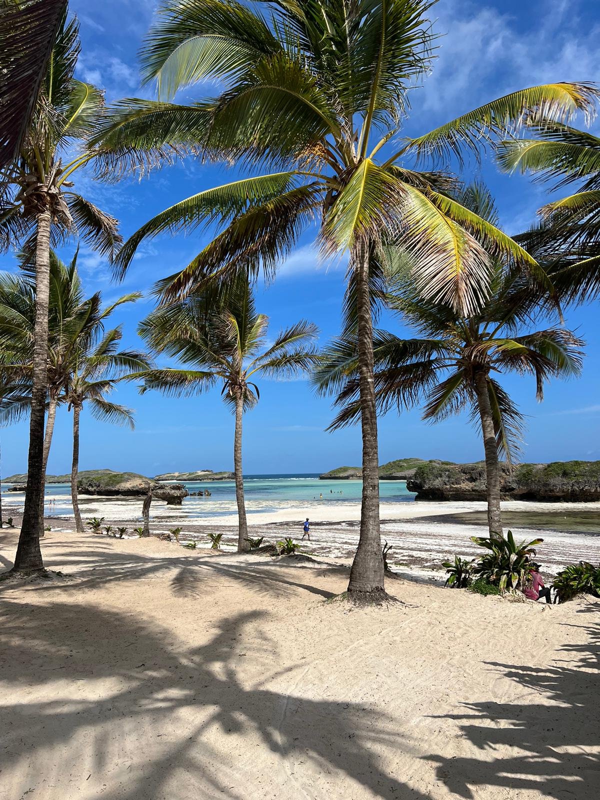 Watamu Beach | Palm Trees and Sand - Alfajiri House & Fishng Kenya