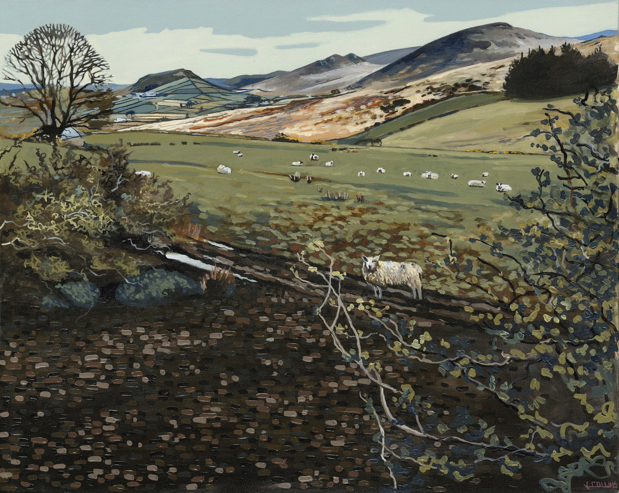 'Reid Hall To Hen Mountain'