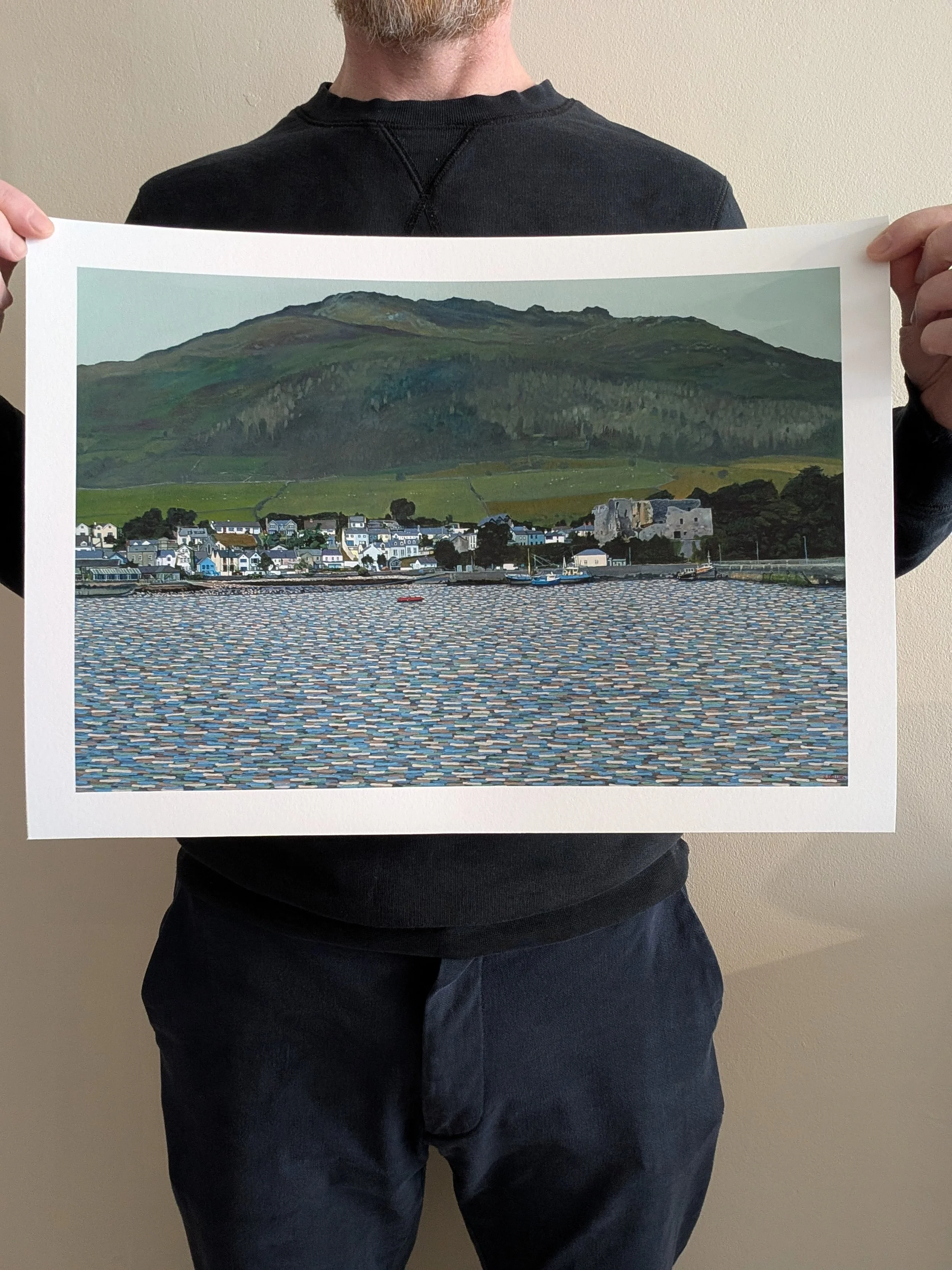 Holding Across Carlingford Harbour.jpg