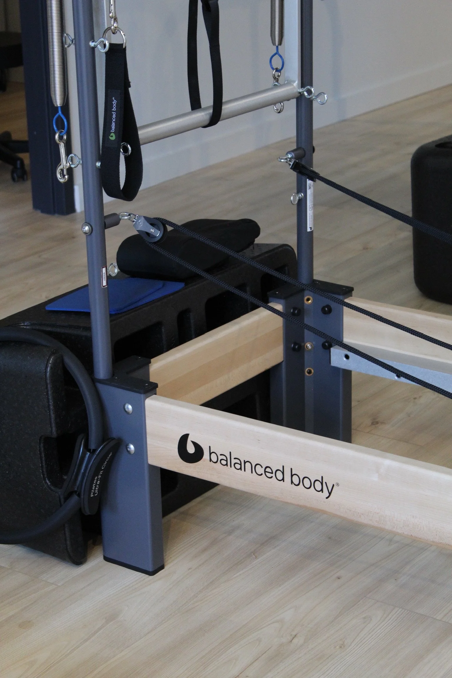 IMG_2300.jpeg