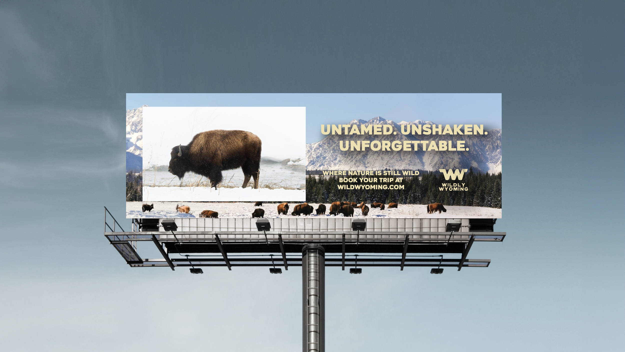 Wildy Wyoming Ads