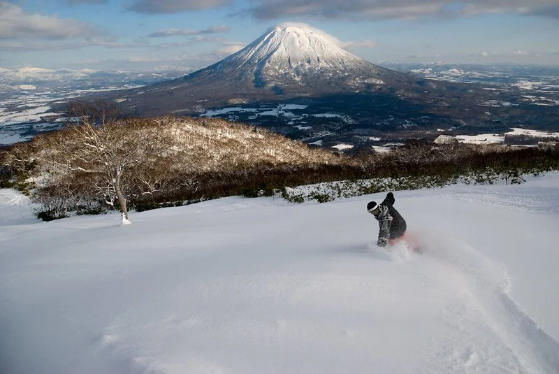 Mount Yoeti Niseko Snowboarder.jpg