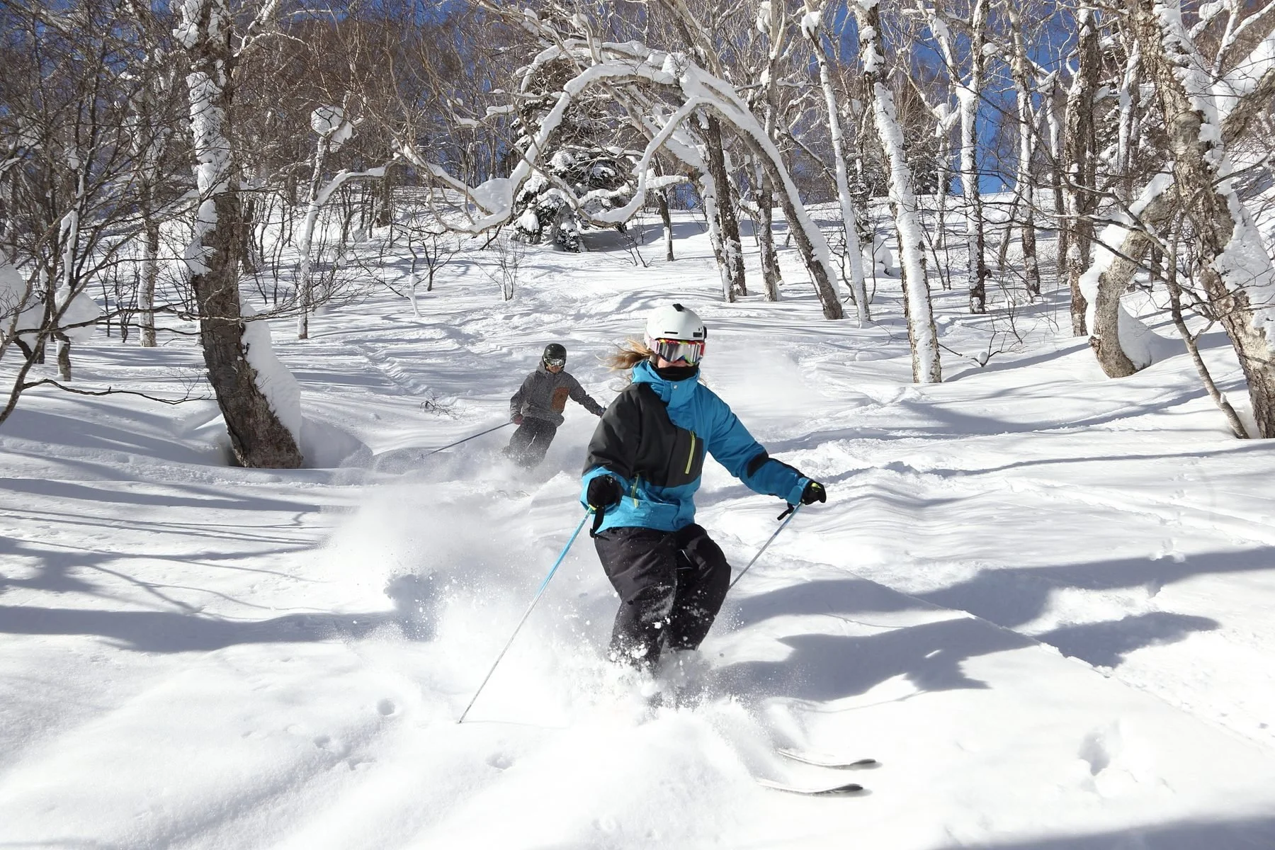 lawski-trees-skiers.jpg