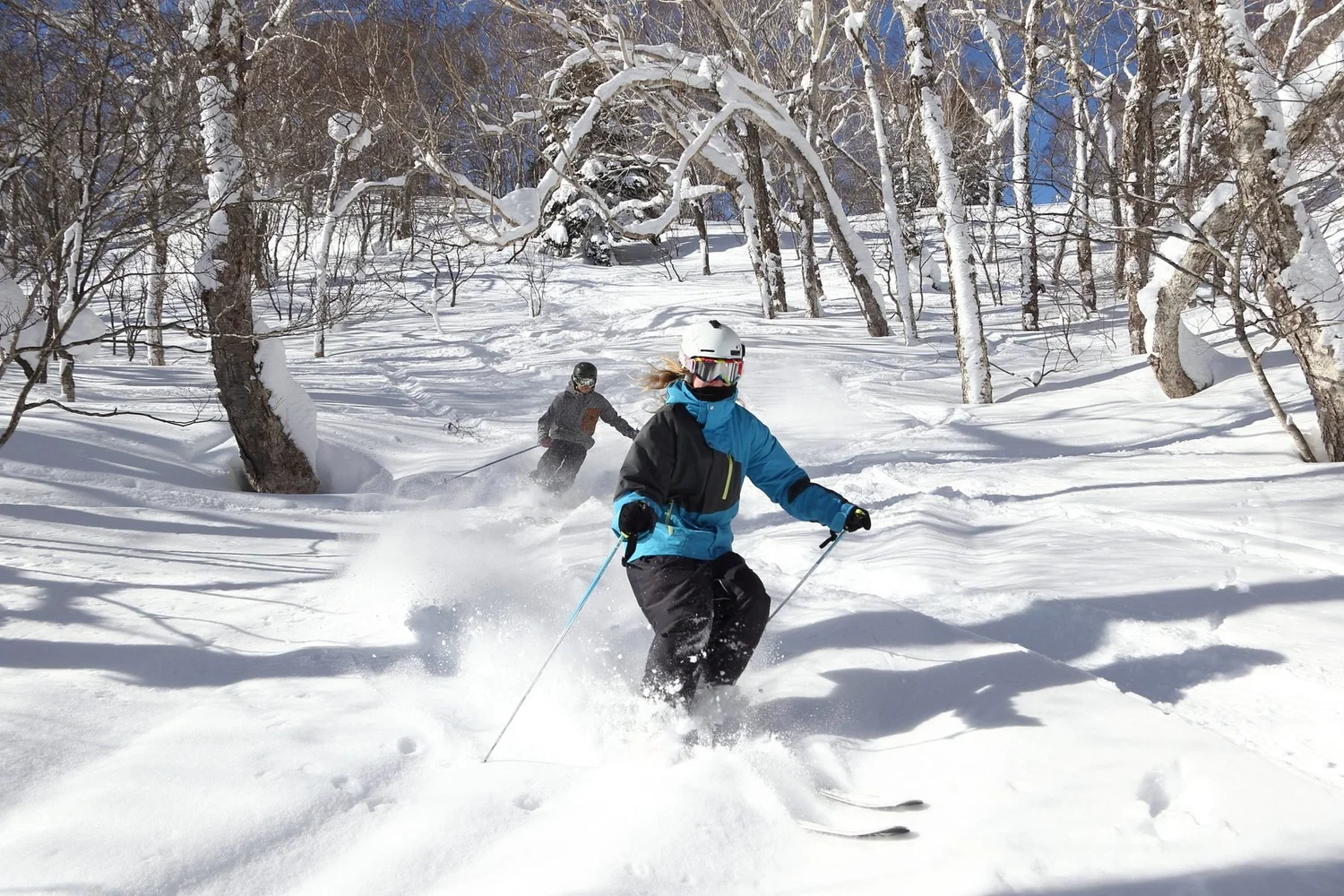 Skiers through the birch trees at Appi Kogen