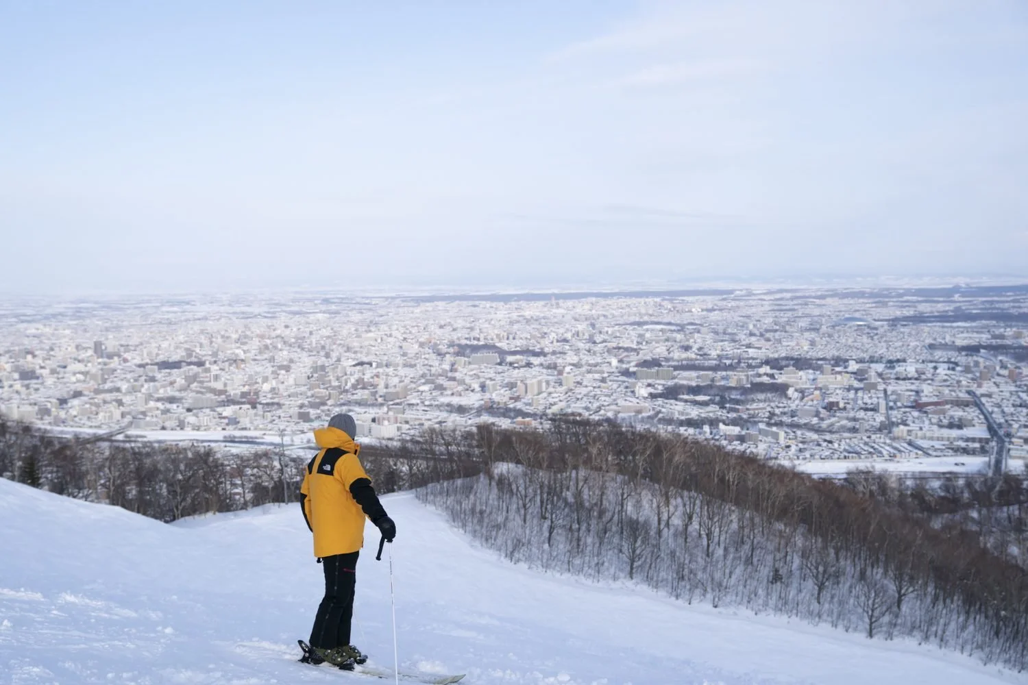 Moiwayama-Sapporo Views.jpg