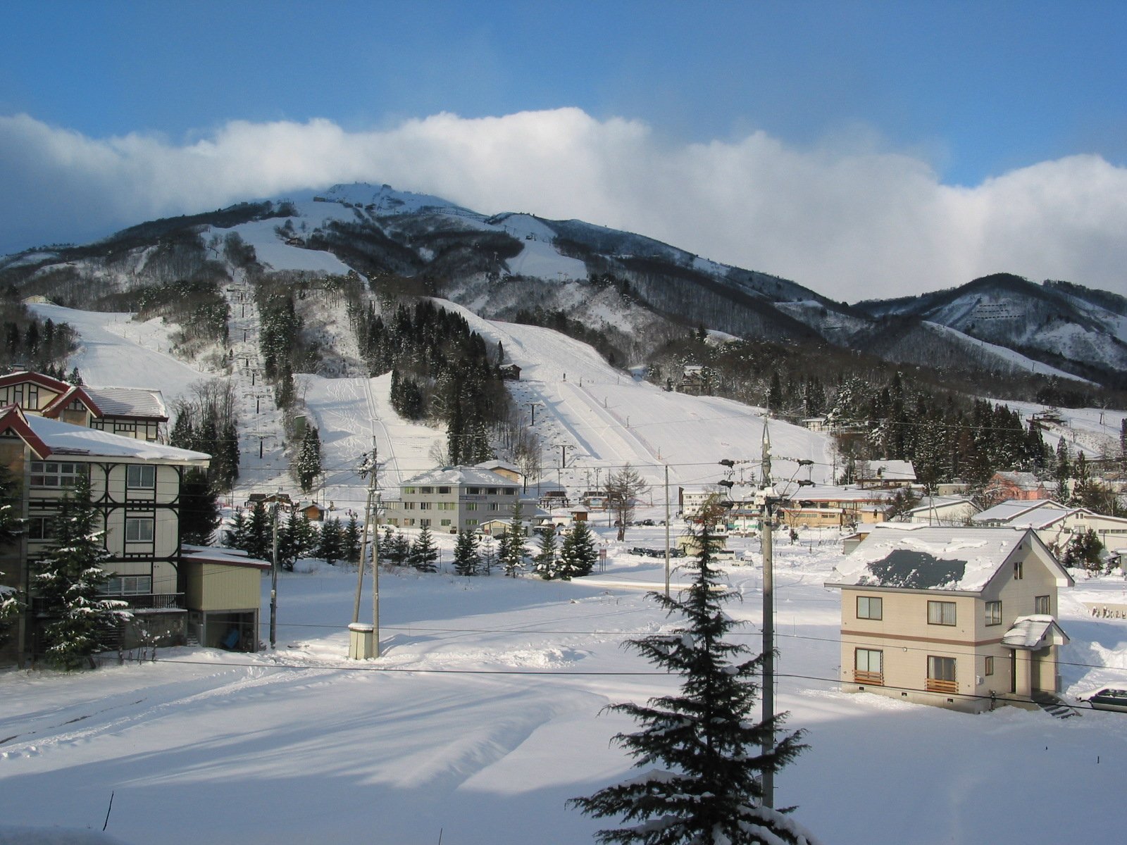 Photo of a ski resort in Japan in winter