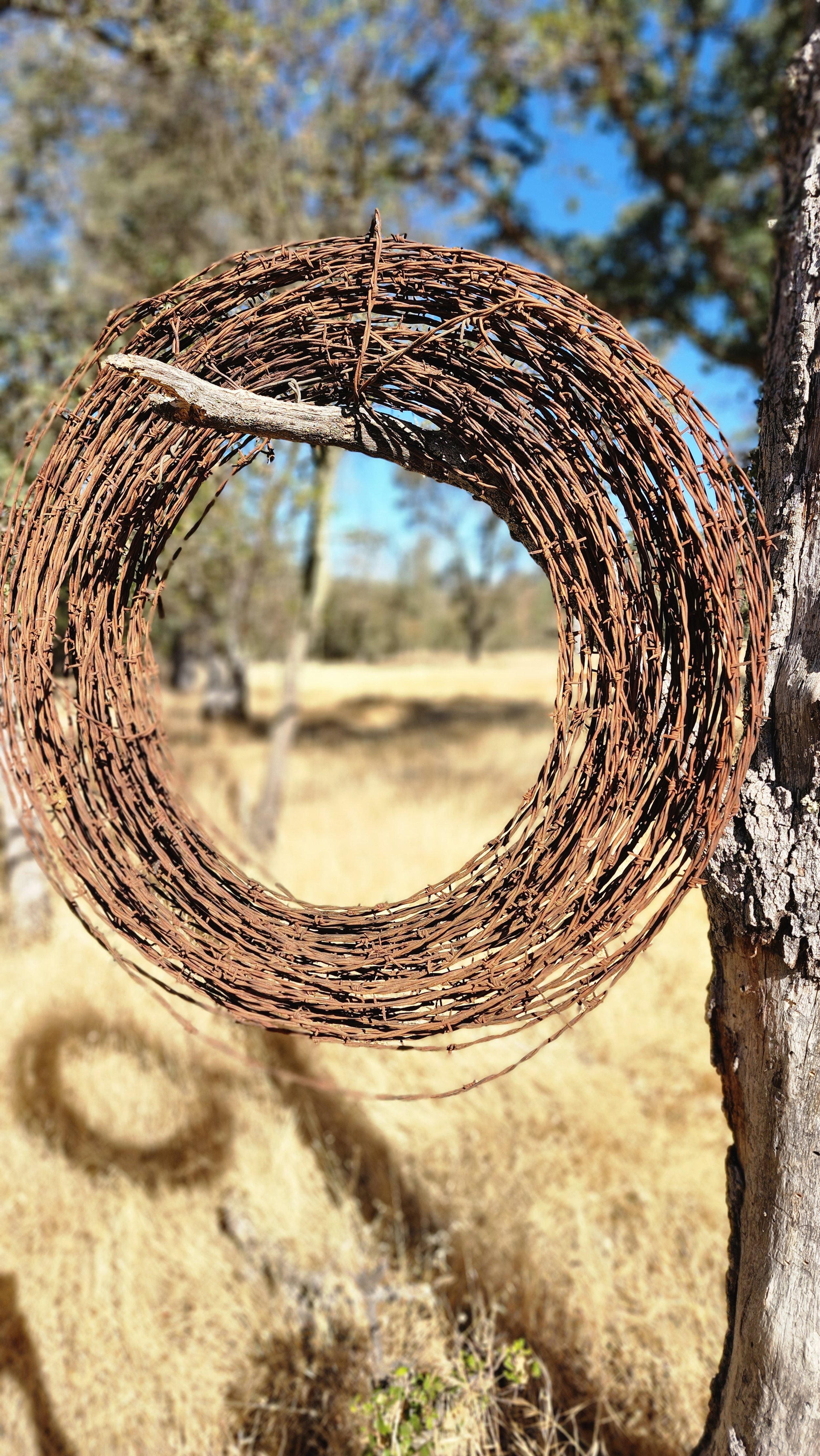 rustbarbed1.jpg