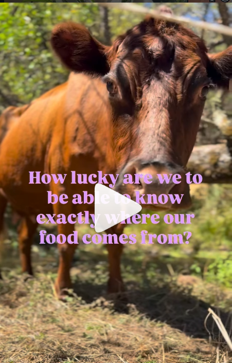 Know Where Your Food Comes From