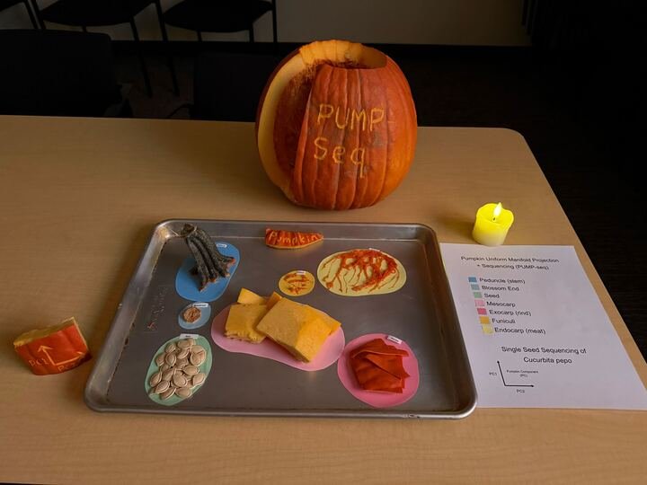 2025 Annual Jack-O-Lantern Winner (Pump-Seq)