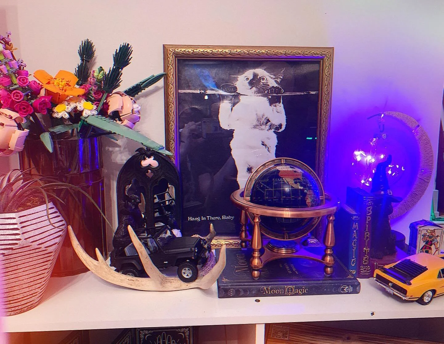 Hang in there Baby #sundayscaries 
.
.
.
.
.
.
#vsco #vscocam #liveauthentic #igchicago #catsofig #catsofinstagram #legoflowers #witchy #artwork #artcommunity #cutearteveryday #aesthetic #aestheticart