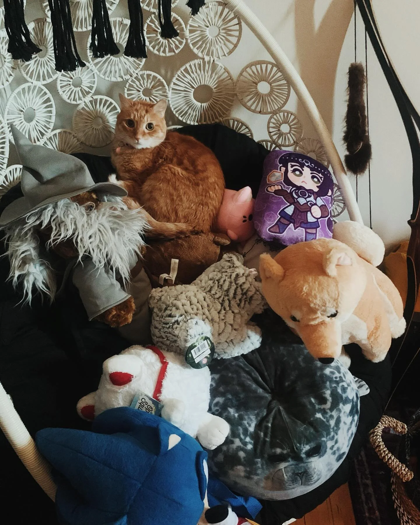 One of these things is not like the others 🧸
.
.
.
.
.
.
#vsco #vscocam #liveauthentic #igchicago #catsofig #catsofinstagram #orangecatbehavior #plushies #artwork #artcommunity #cutearteveryday #aesthetic #aestheticart