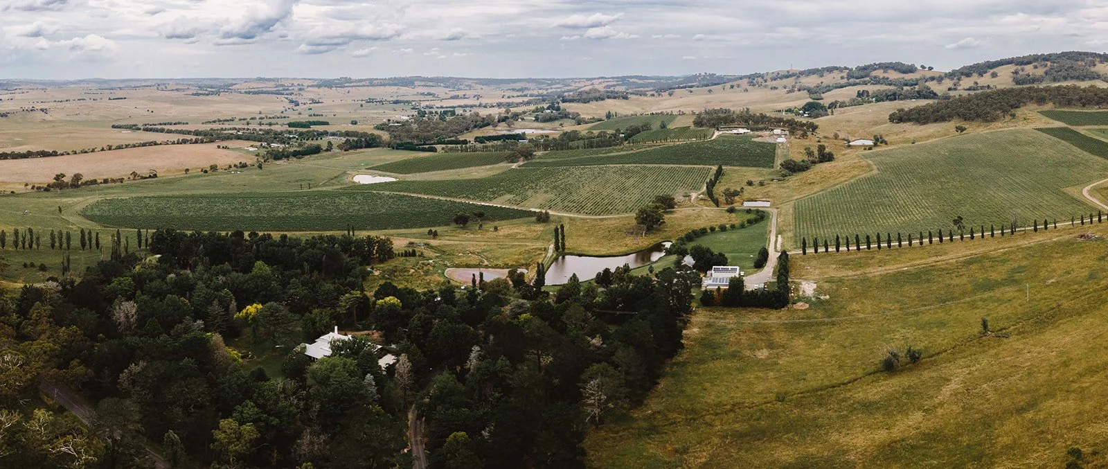 drone-_kyleingramphoto-5.jpg