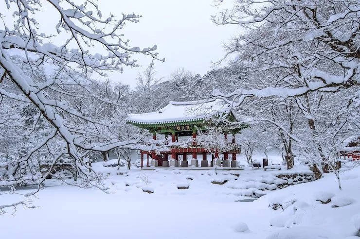 다시 찾은 한국
