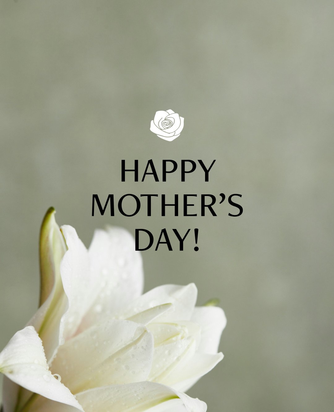 The team at The Sebel Ringwood sends heartfelt wishes to all the mothers and mother figures out there 💐

May your Mother's Day be filled with so much love! 💖