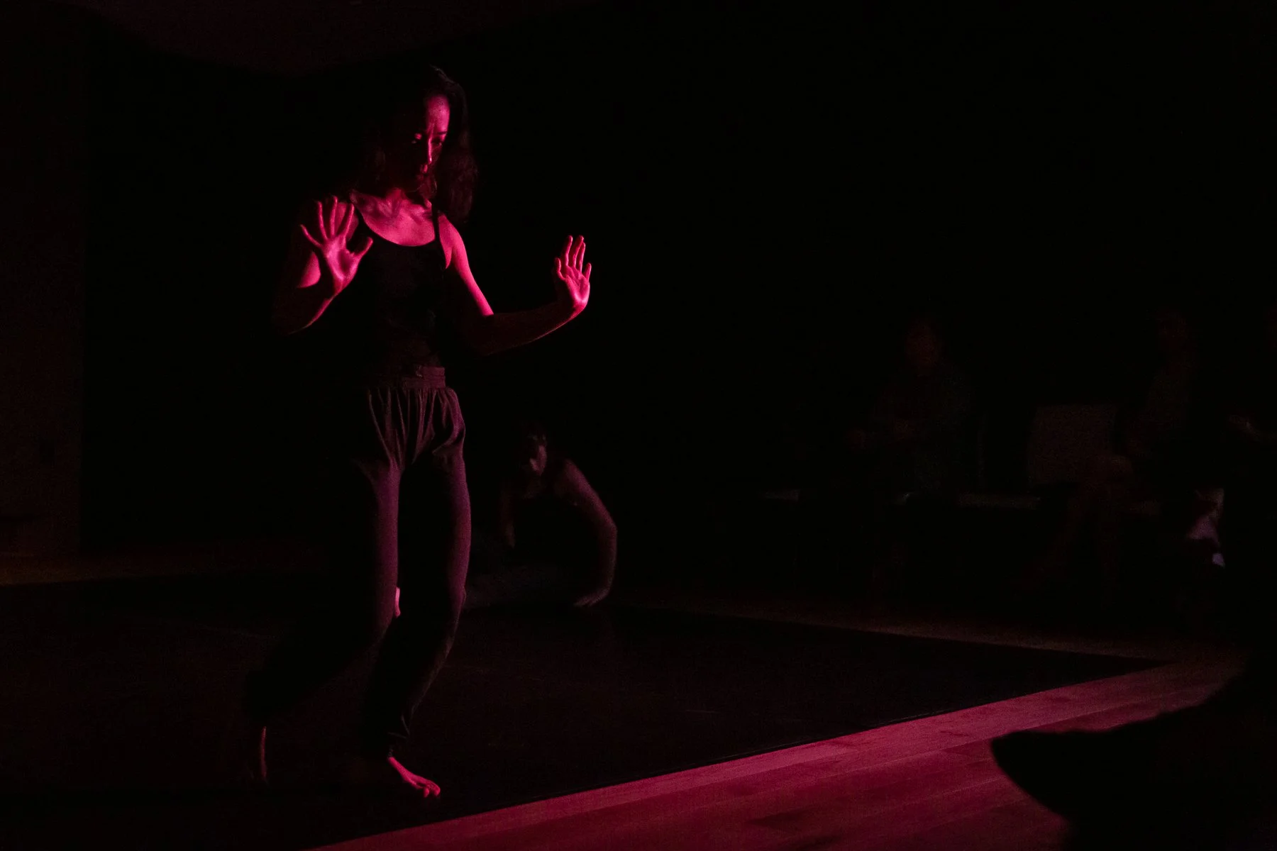 Ventana Ballet - Kaleidoscope - Photographer Lynn Lane - WEB-191.jpg