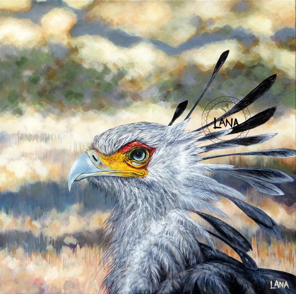 Secretary Bird_1000x991.JPG