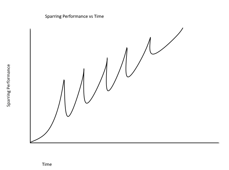 Why you should do WORSE with time in historic fencing (sometimes). Learn by Losing!