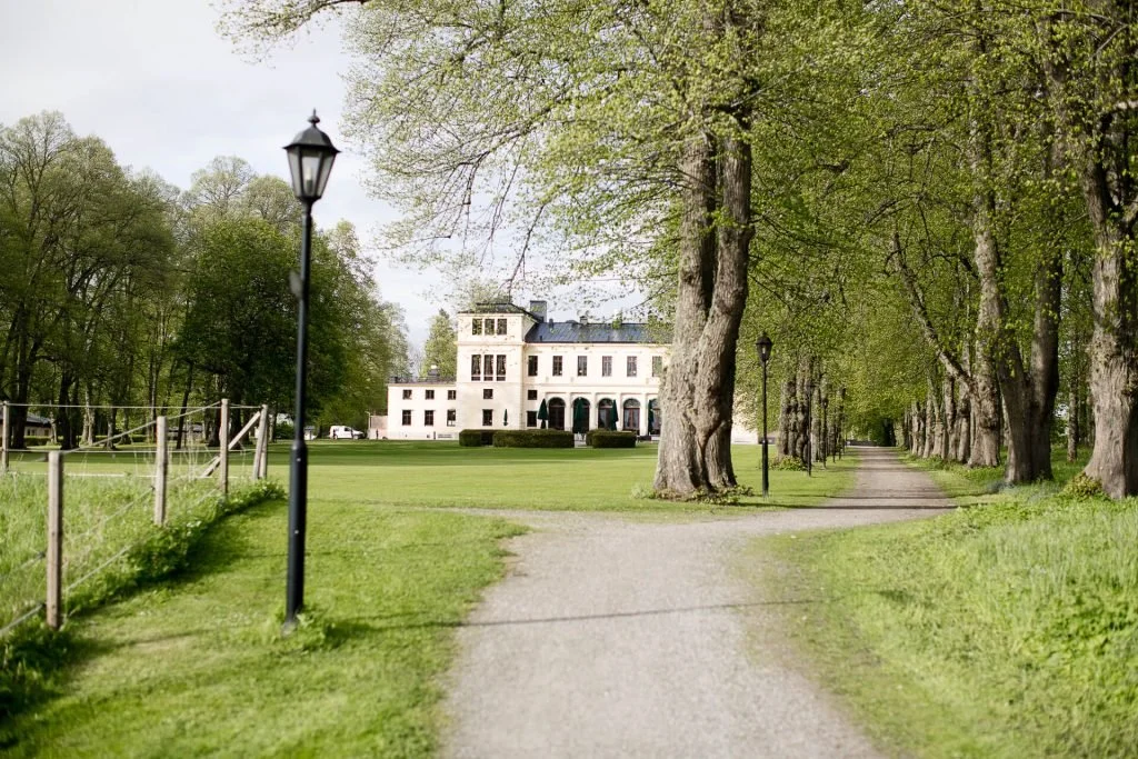 A gravel pathway with lamp posts on each side, trees with green leaves, and a large white mansion in the background.