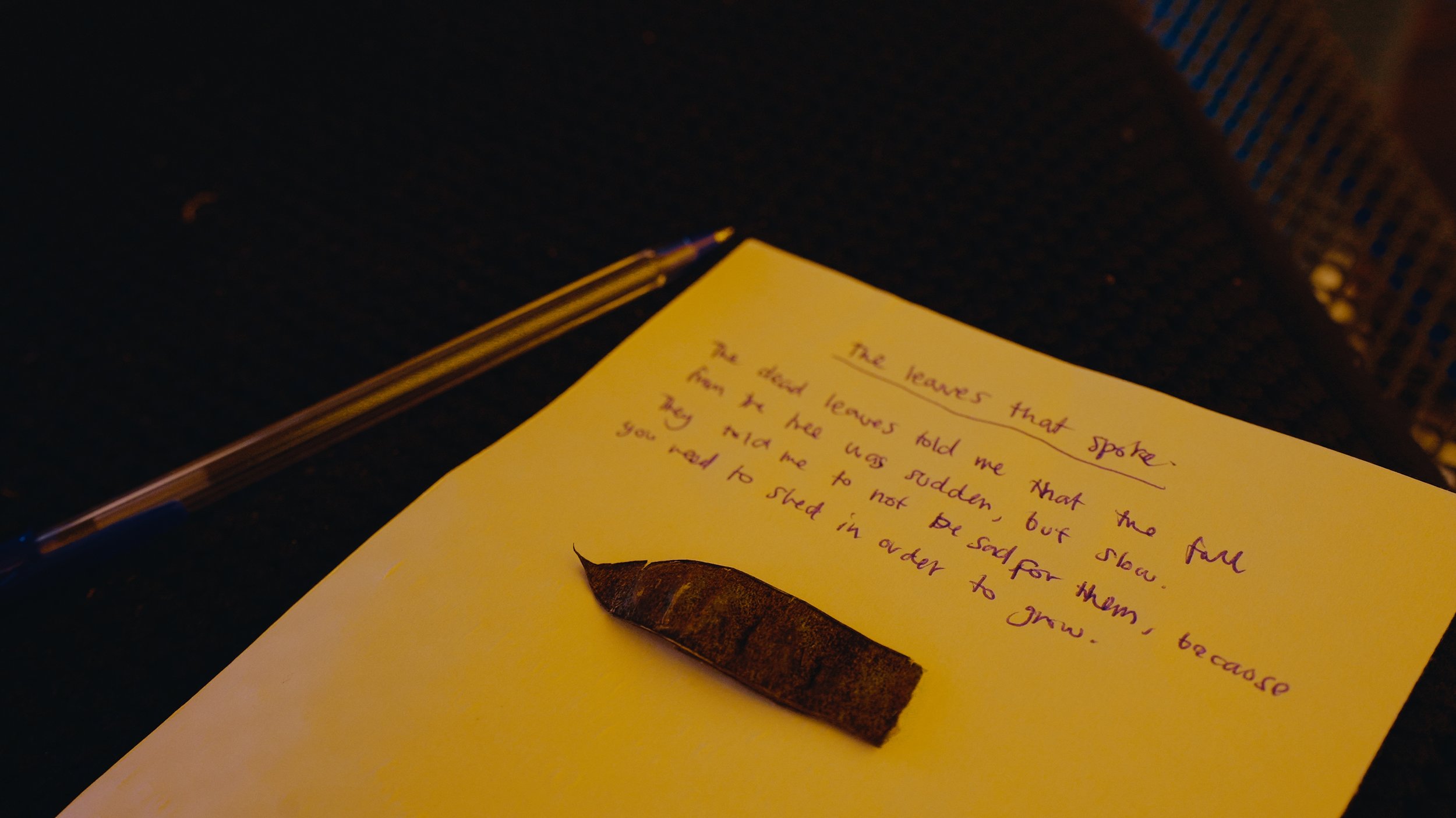 basecamp_1.188.1.jpg