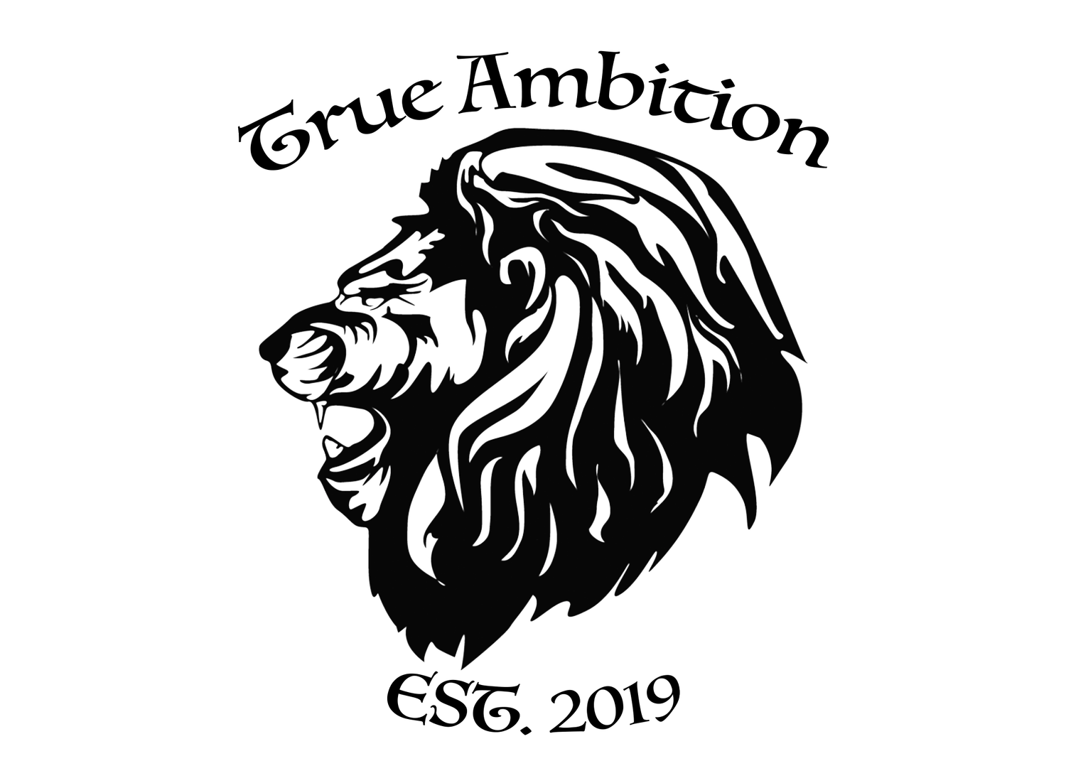 True Ambition, LLC