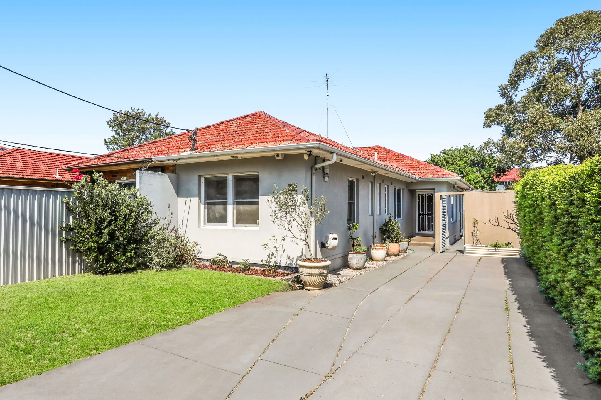 A house with a red tile roof, white walls, and a backyard with green grass and potted plants. There is a concrete driveway leading to the entrance, which has a metal security gate. The yard is bordered by a tall, green hedge and some trees, under a clear blue sky.