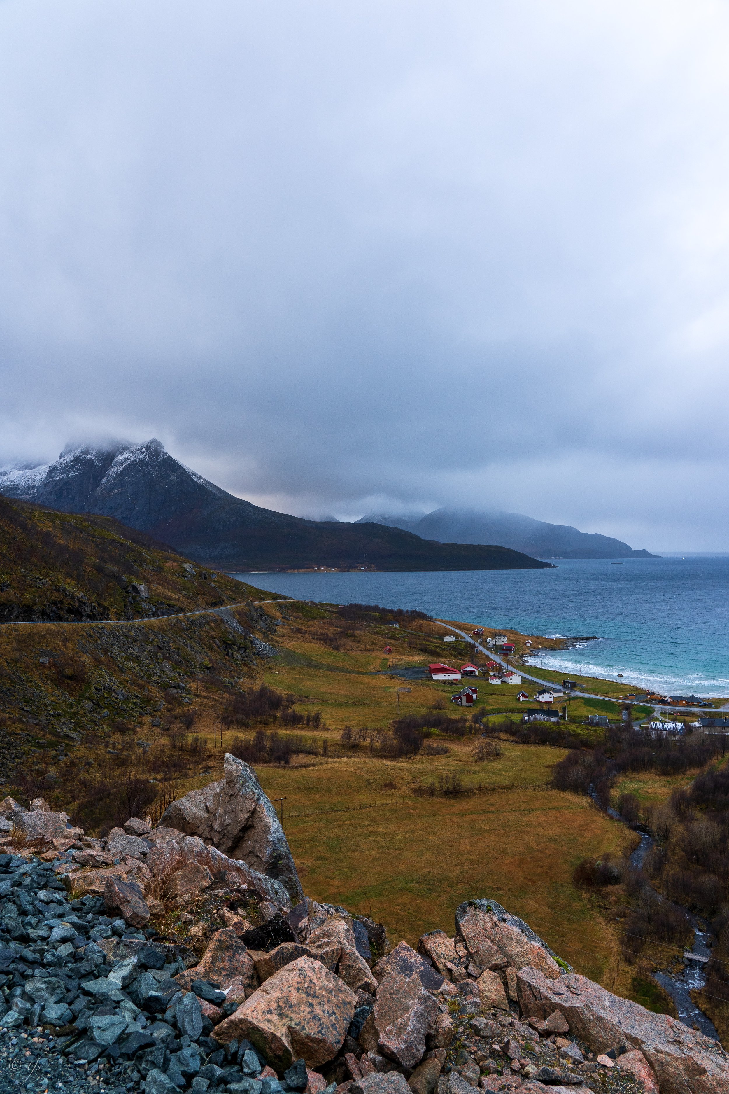 norway website-25.jpg