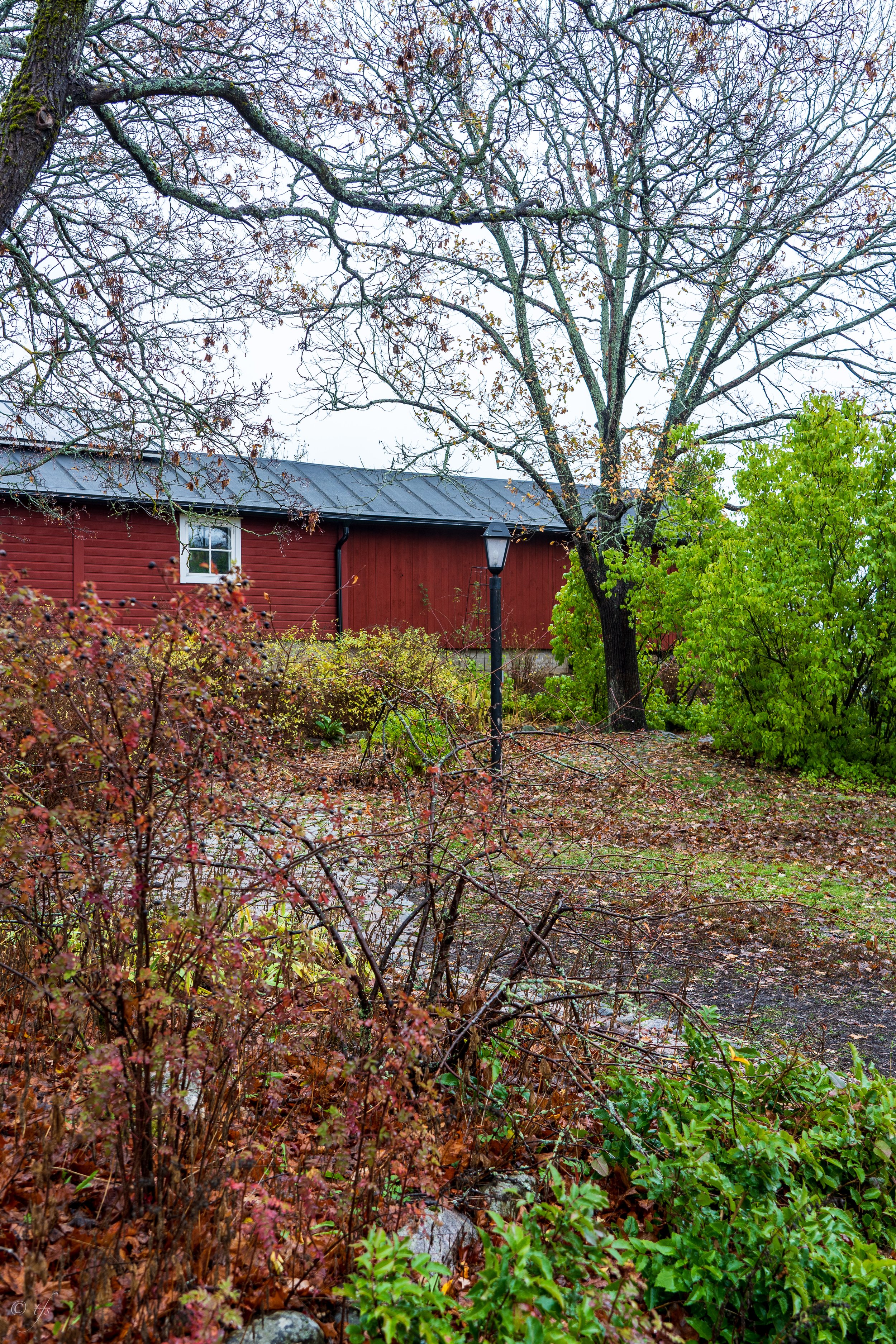 finlandwebsite-27.jpg