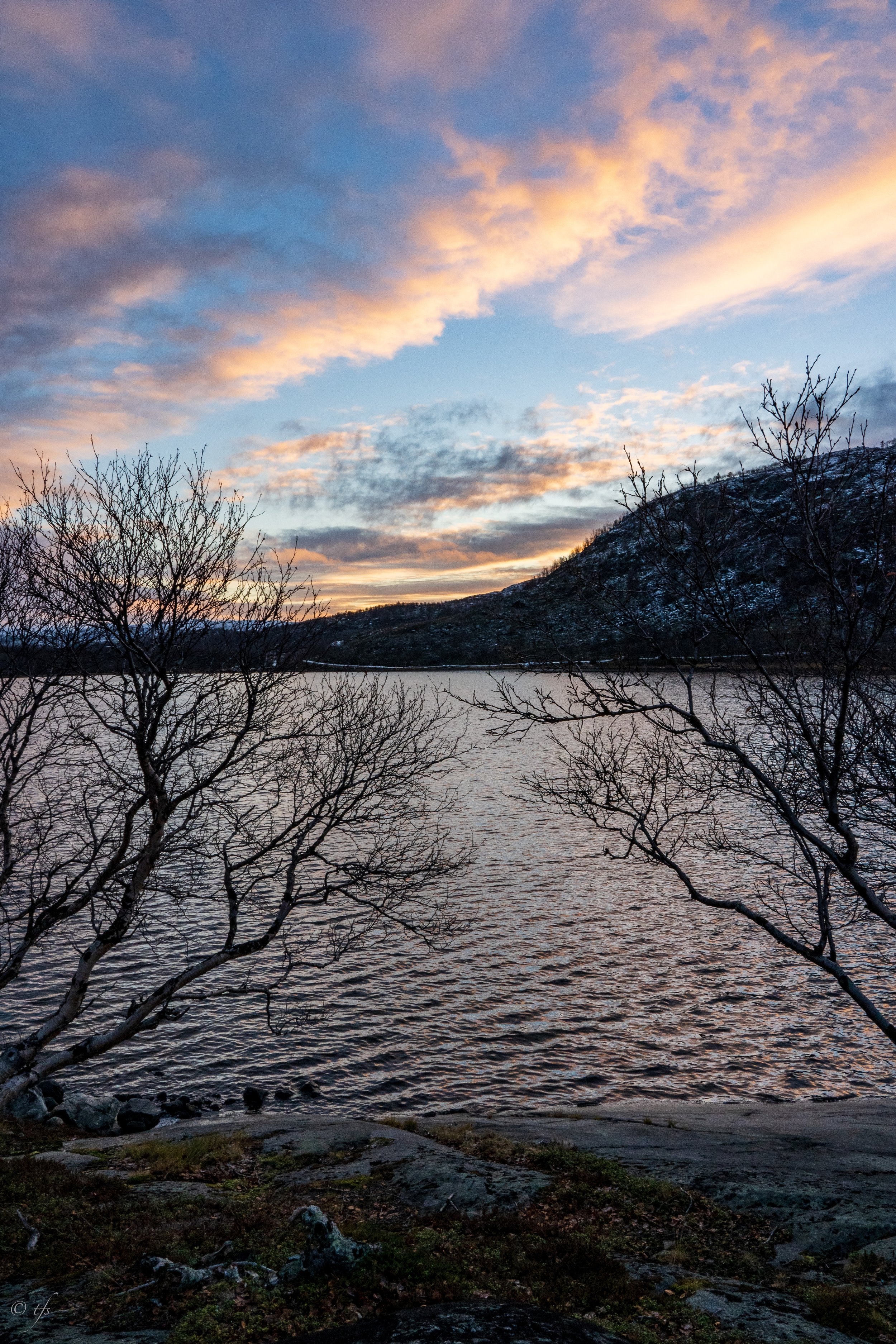 norway website-36.jpg