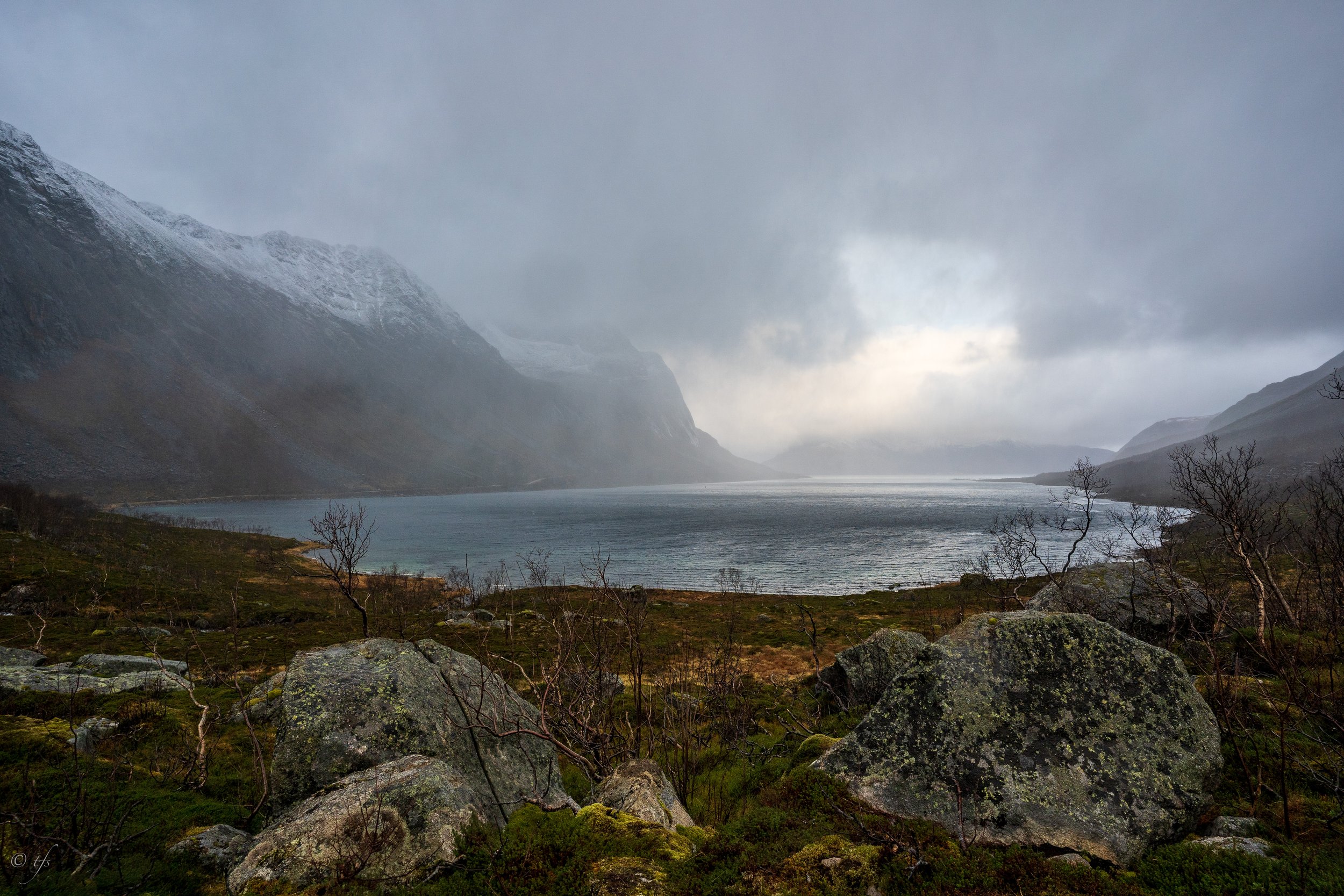 norway website-21.jpg